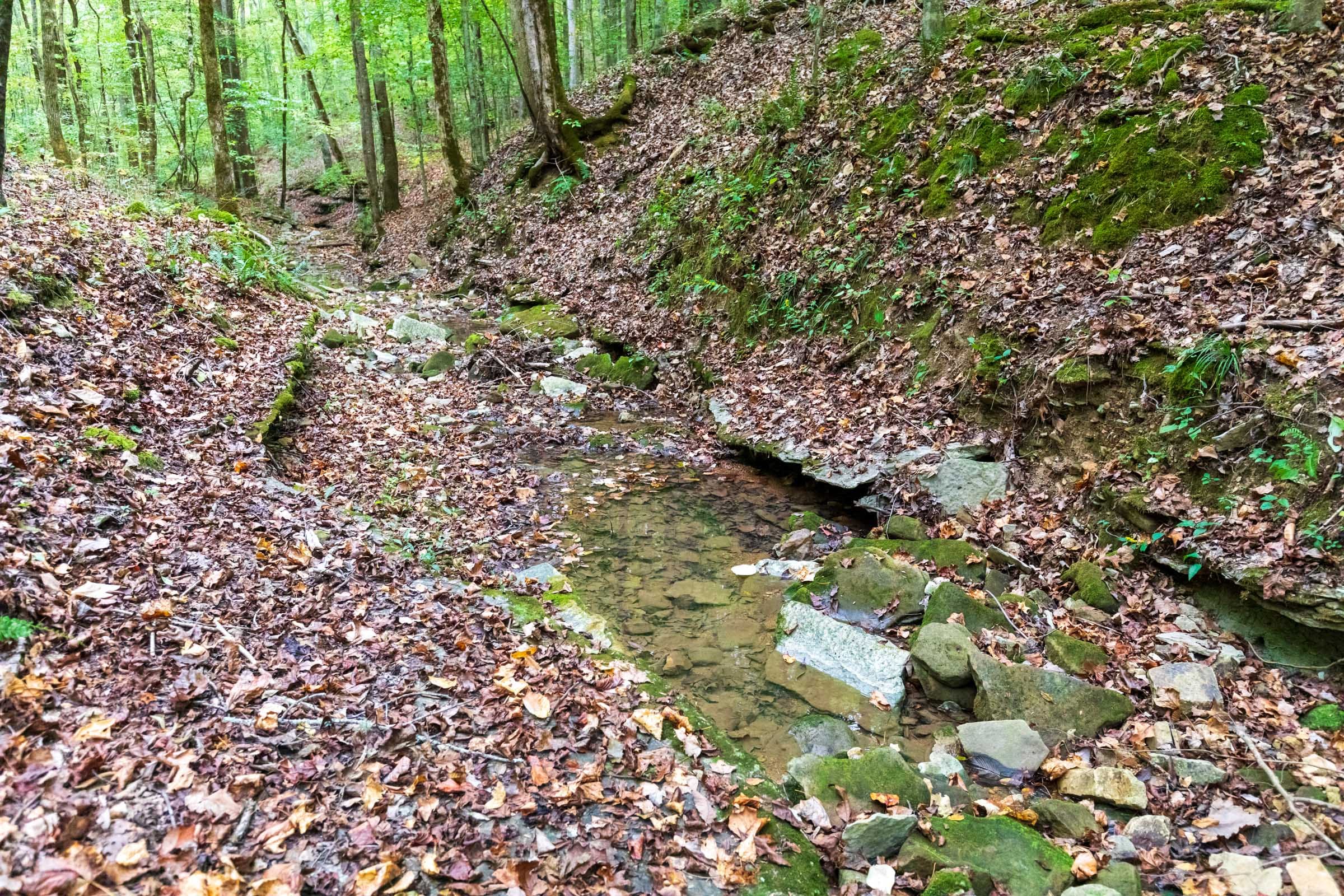 Copper Ridge Tract 3 photo 11