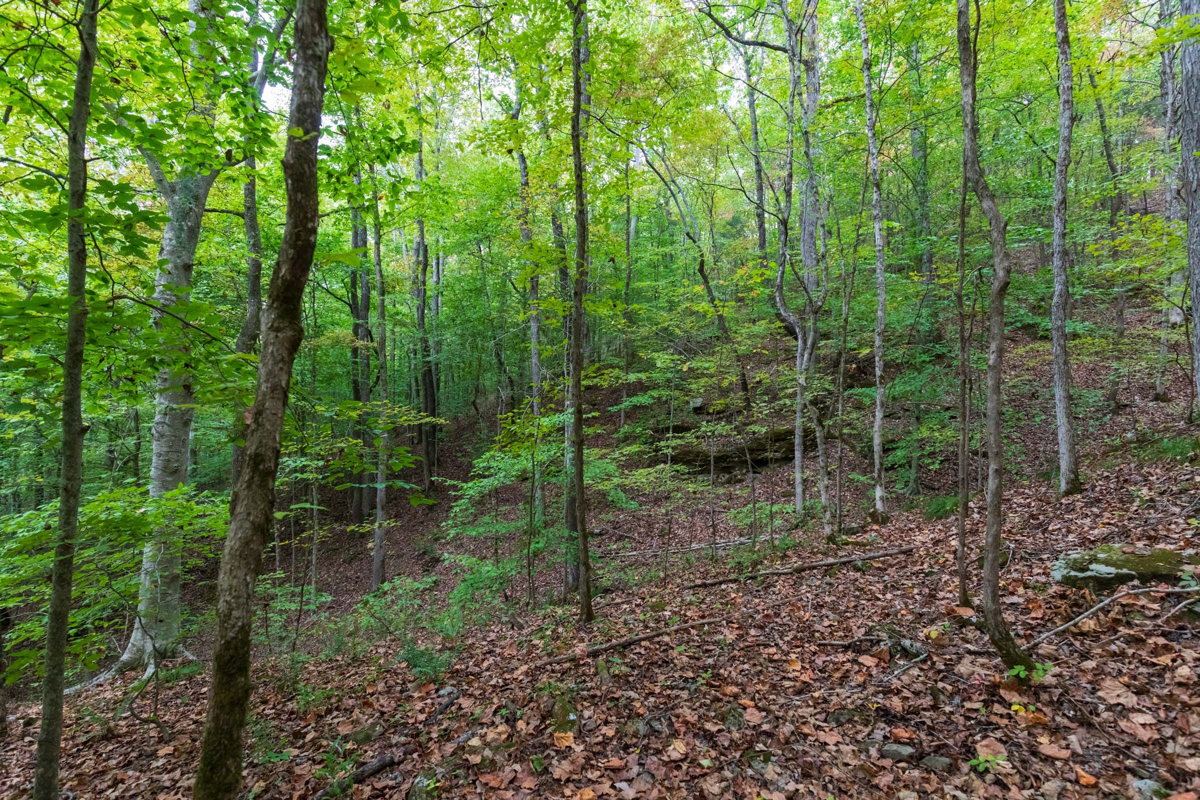 Copper Ridge Tract 3 photo 13