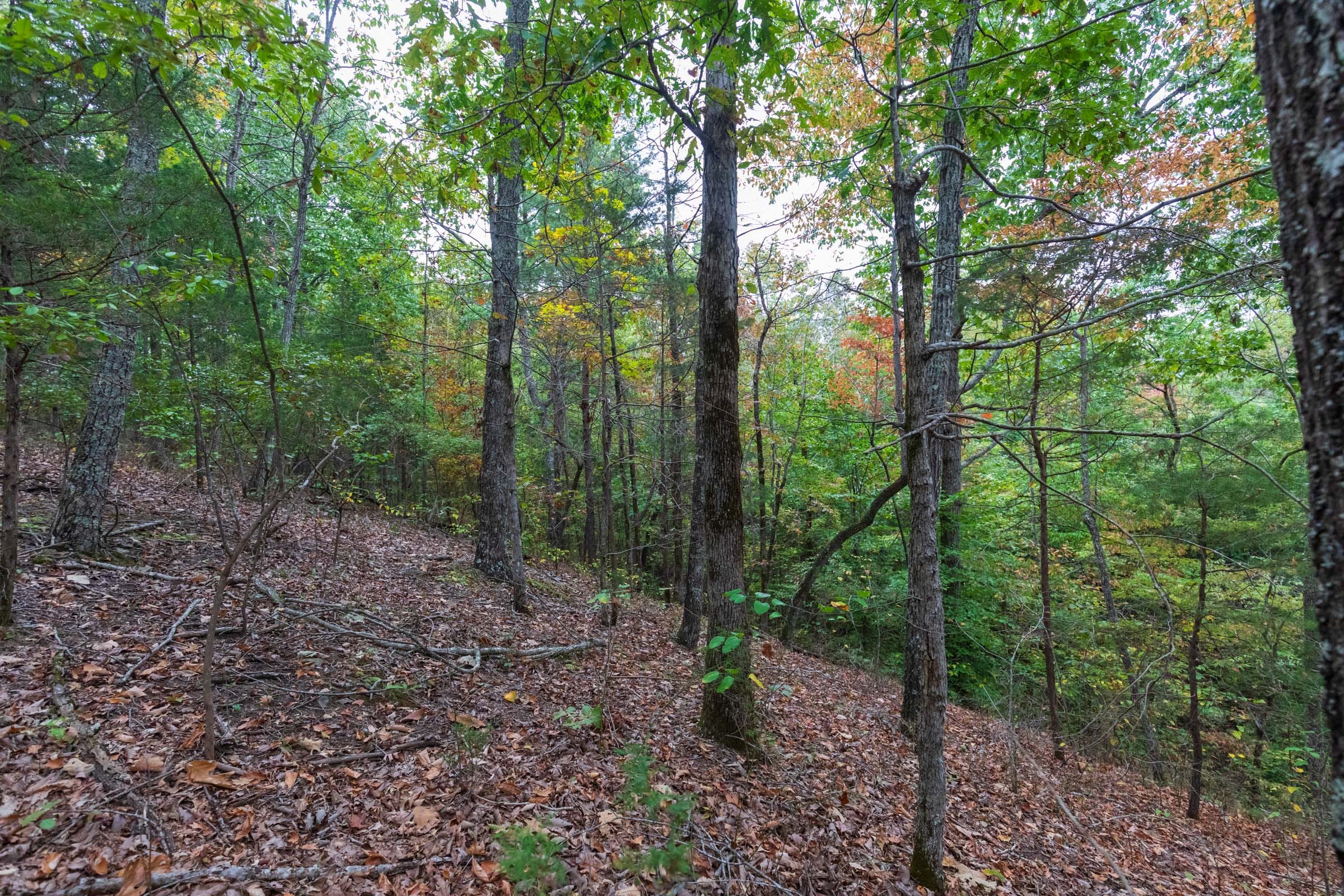 Copper Ridge Tract 3 photo 12