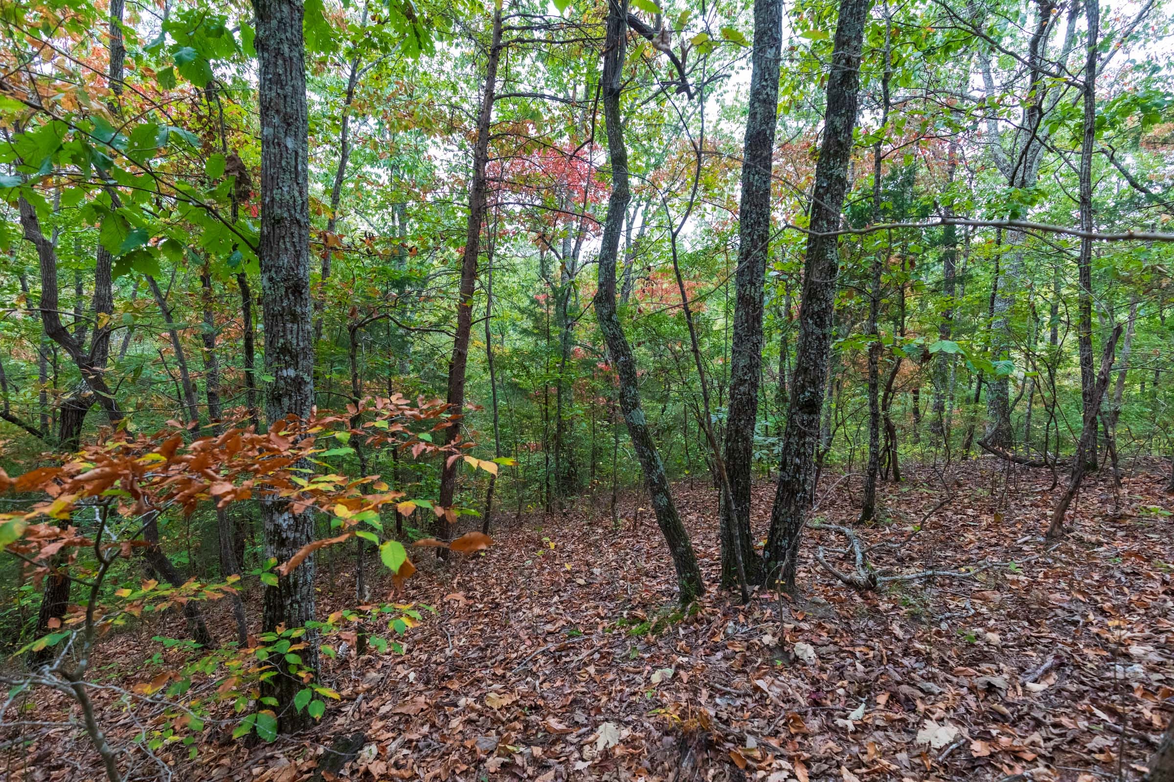 Copper Ridge Tract 3 photo 15