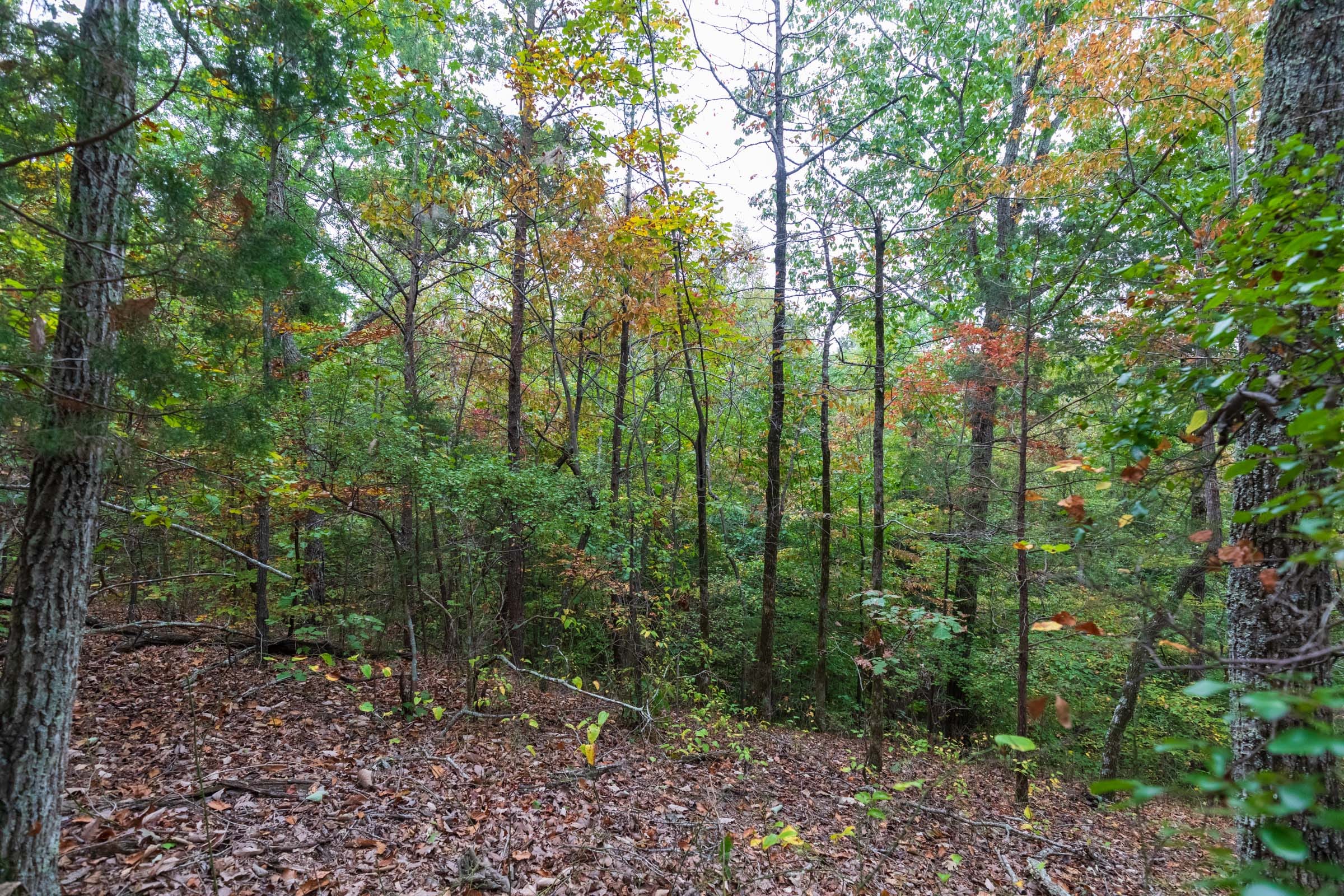 Copper Ridge Tract 3 photo 14