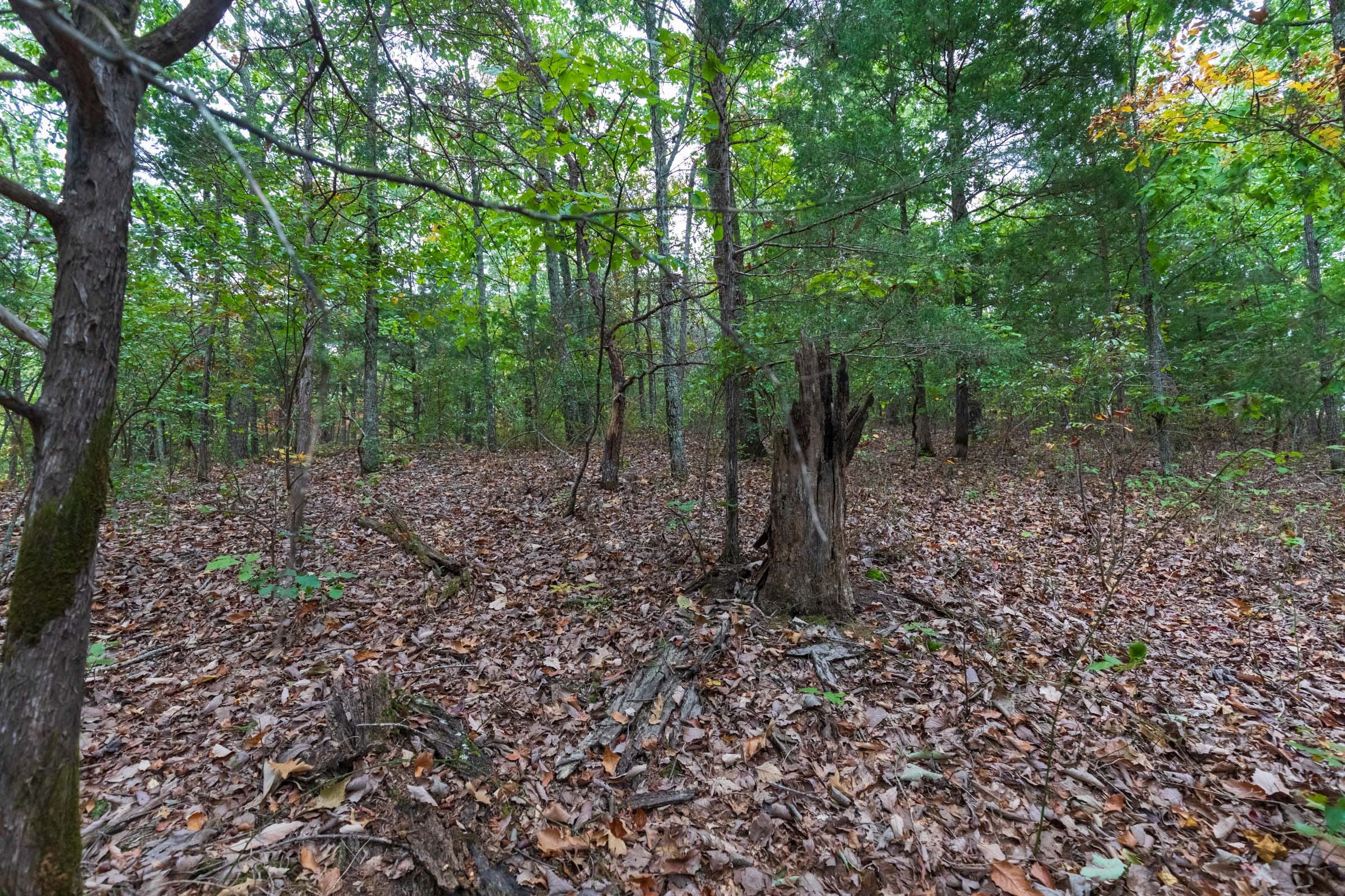 Copper Ridge Tract 3 photo 16