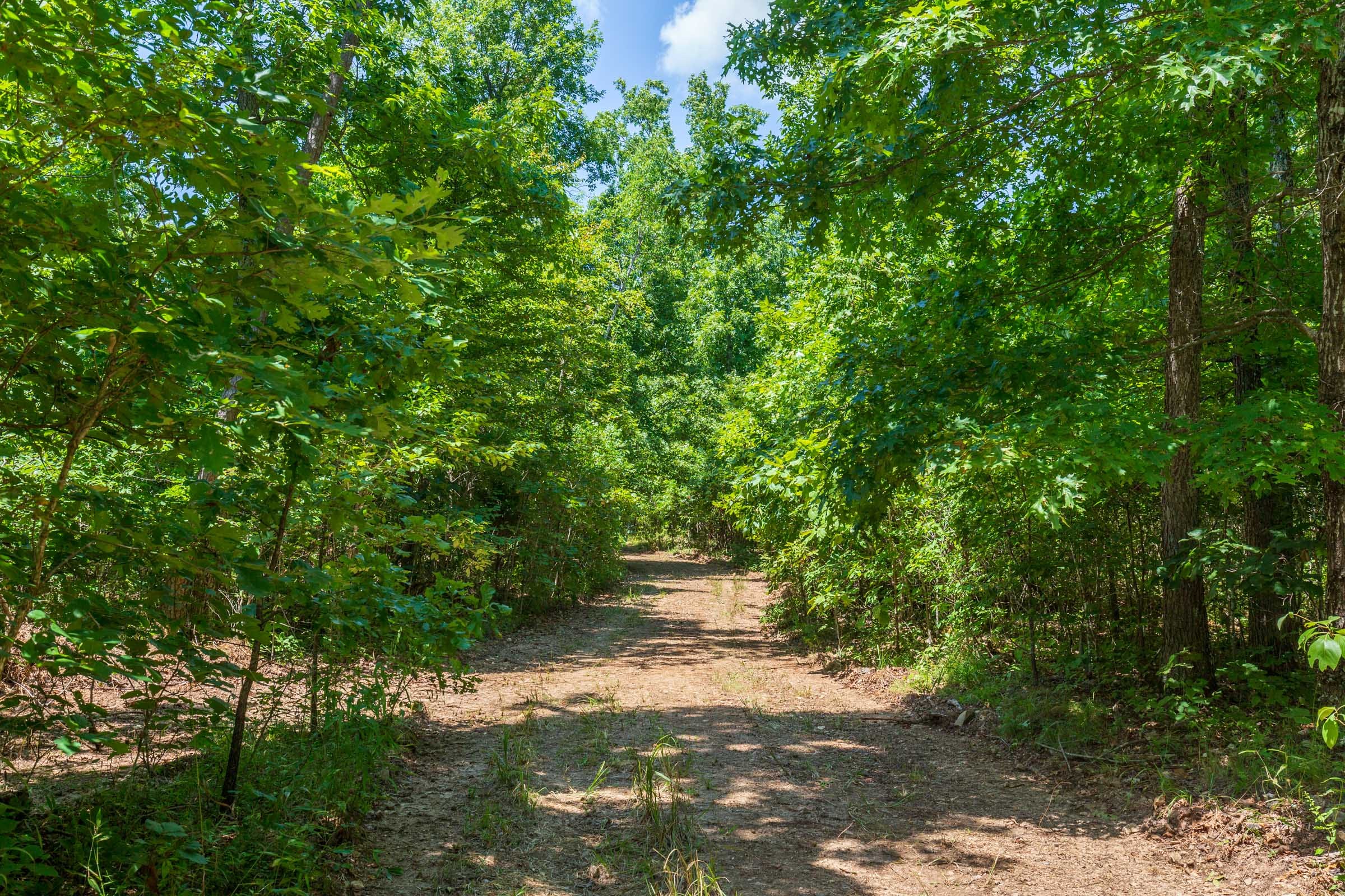 Cypress Ridge Tract 10 photo 8
