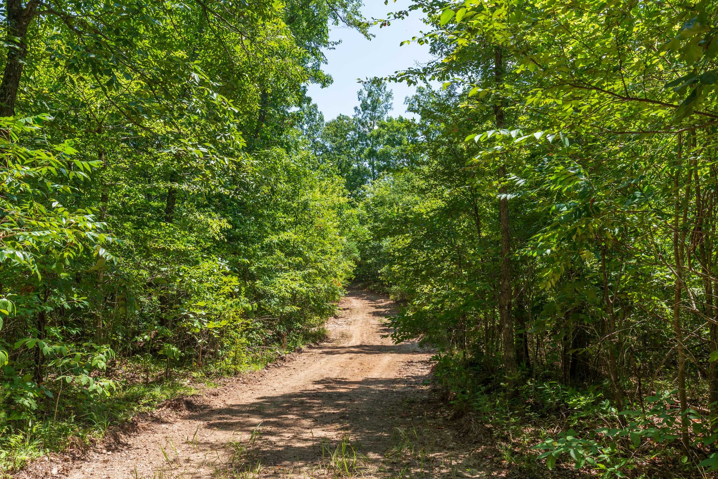 Cypress Ridge Tract 10 photo 1