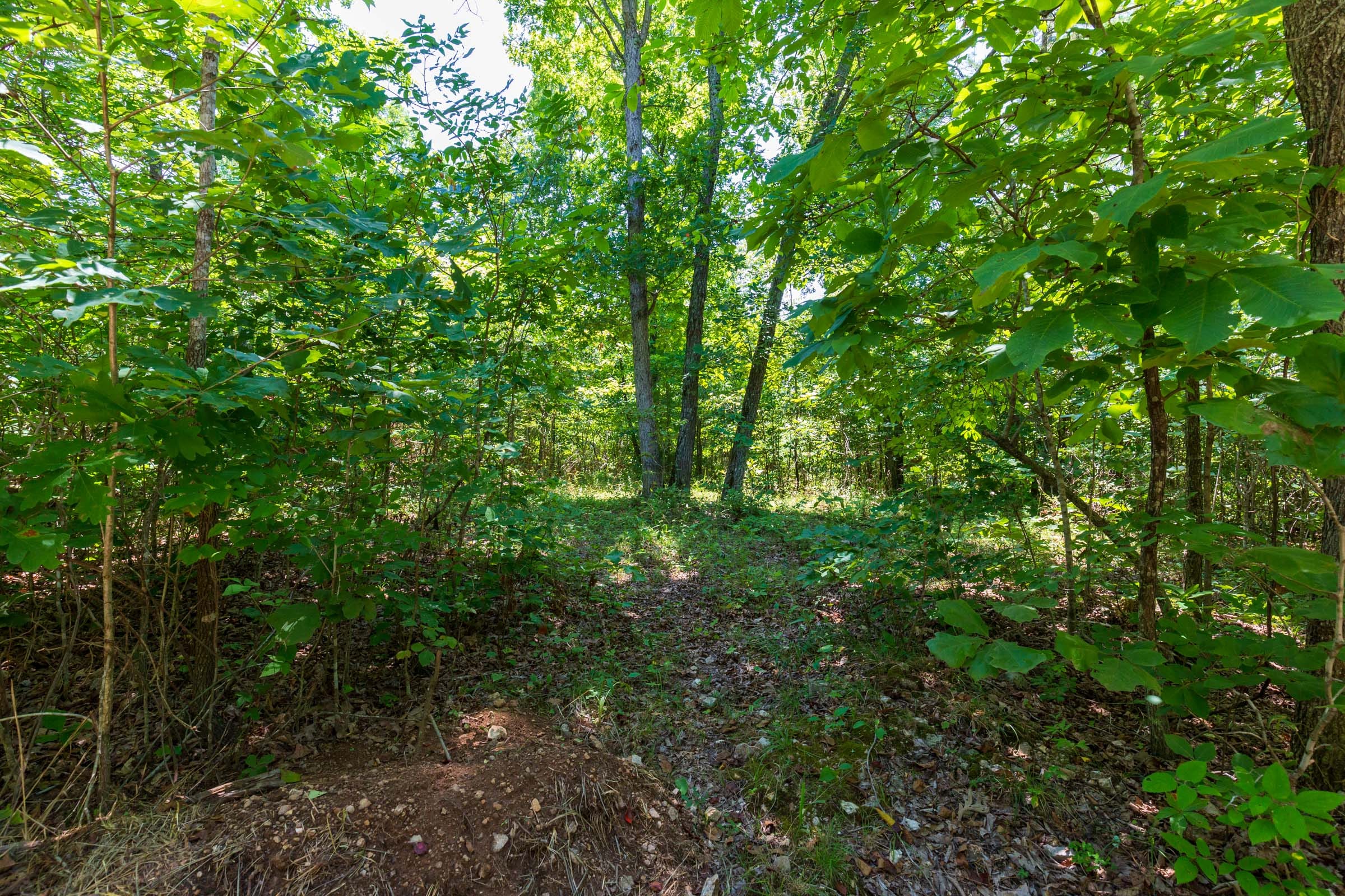 Cypress Ridge Tract 10 photo 5