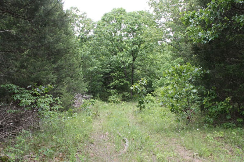 Cedar Ridge Ranch Tract 21 photo 1
