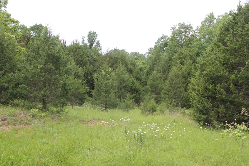 Cedar Ridge Ranch Tract 21 photo 5