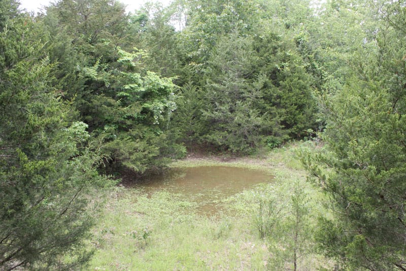 Cedar Ridge Ranch Tract 21 photo 8