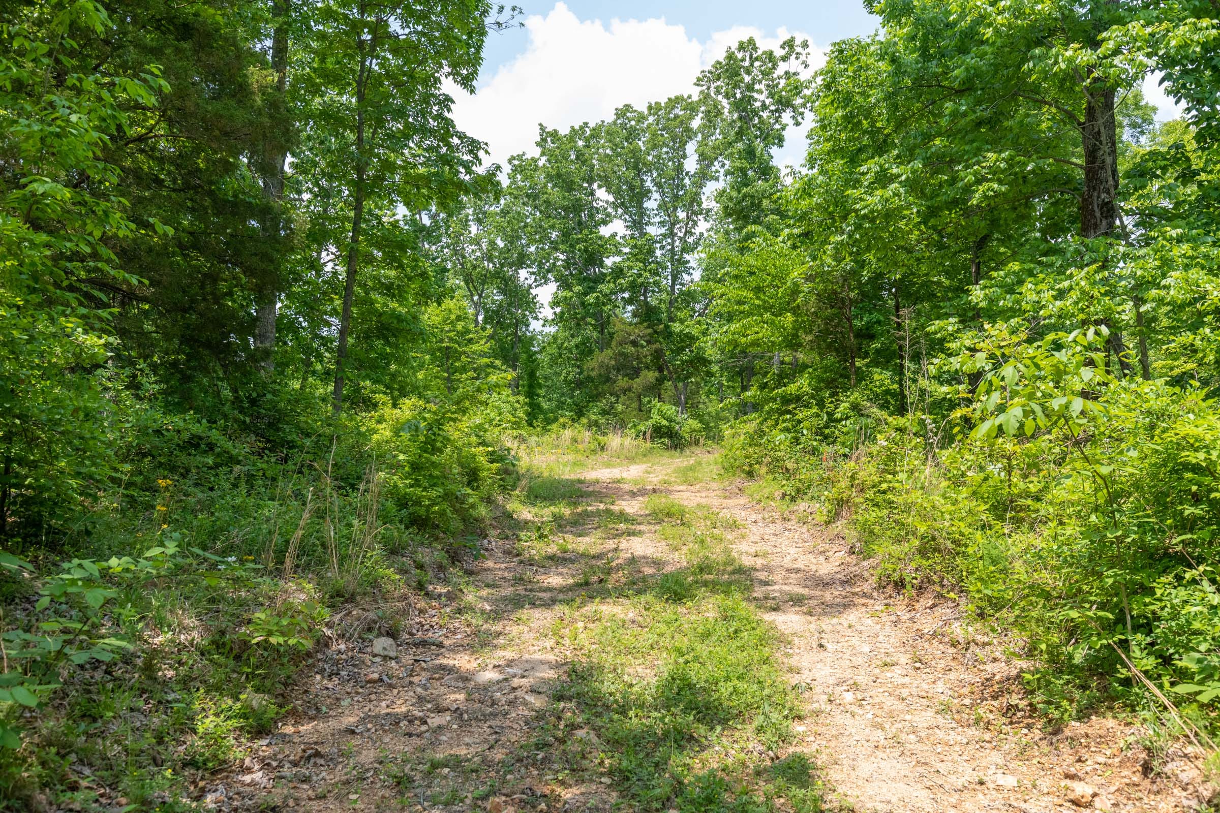 Cedar Creek Tract 17 photo 1