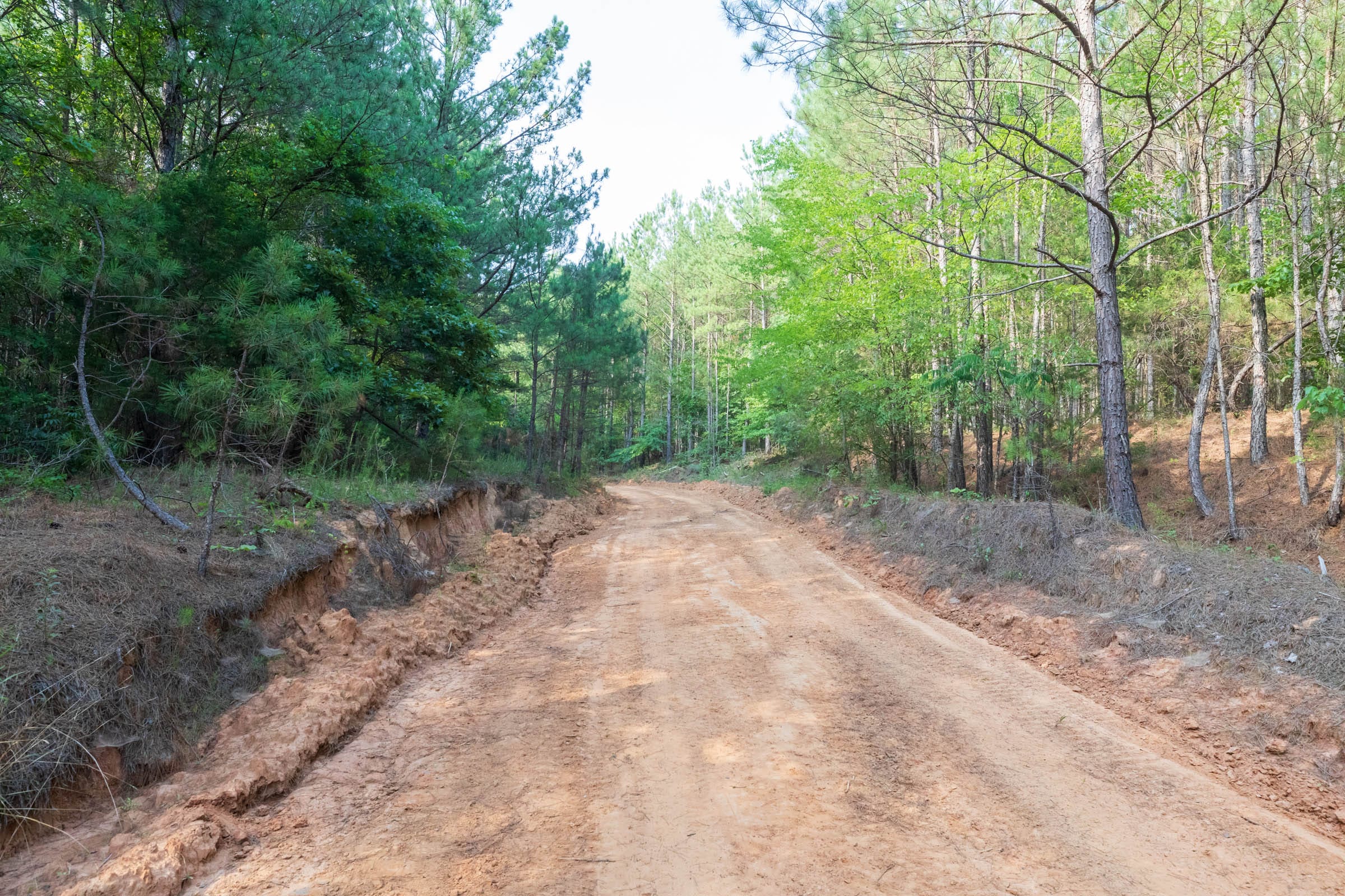 Whiskey Ridge Tract 74 photo 2