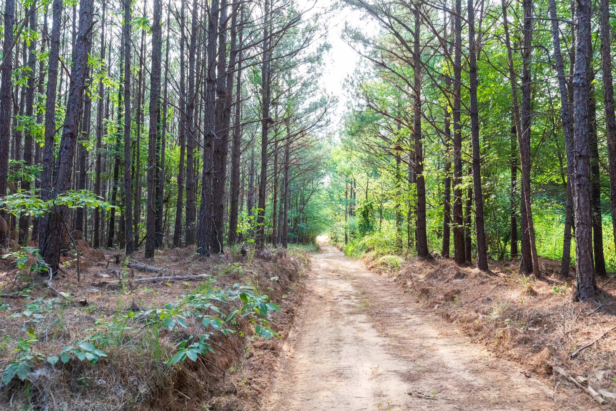 Whiskey Ridge Tract 74 photo 10