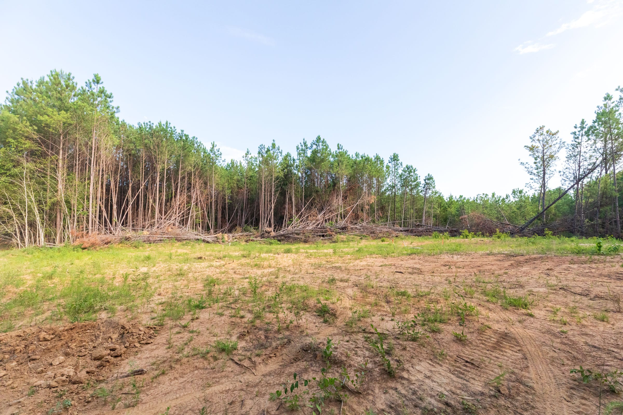 Whiskey Ridge Tract 74 photo 11