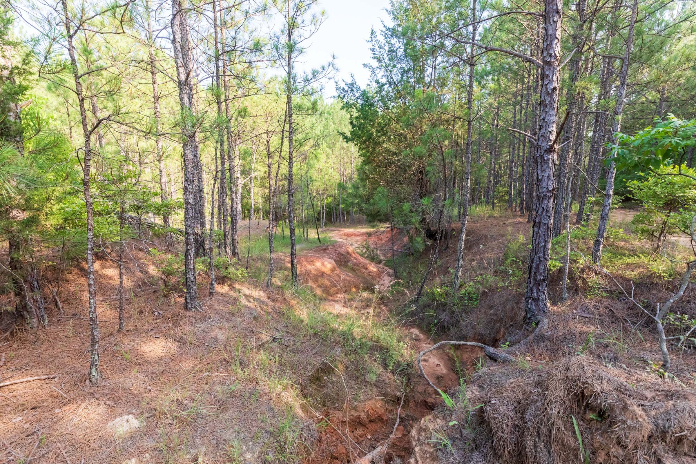 Whiskey Ridge Tract 74 photo 13