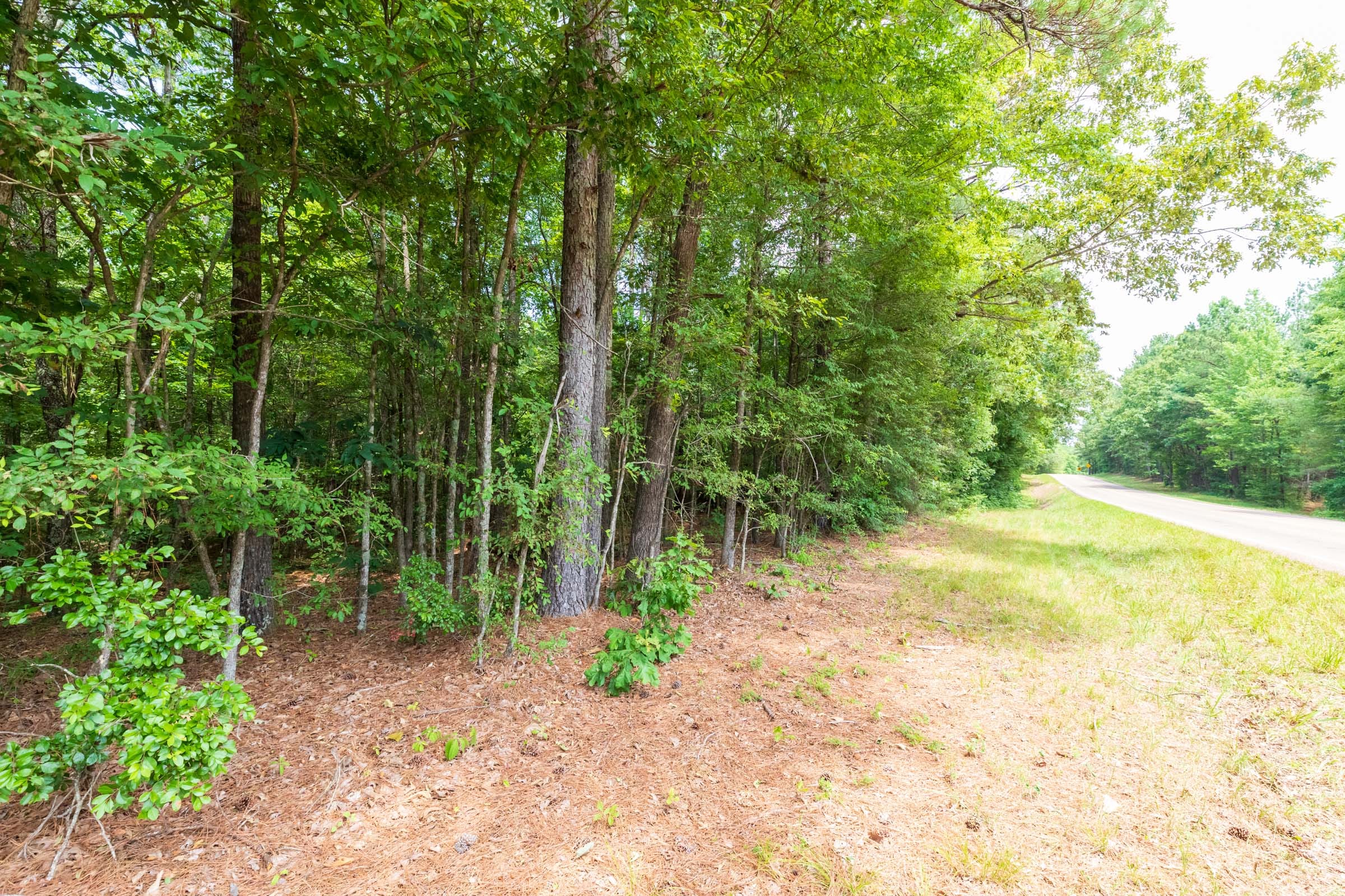 Whiskey Ridge Tract 1 photo 4