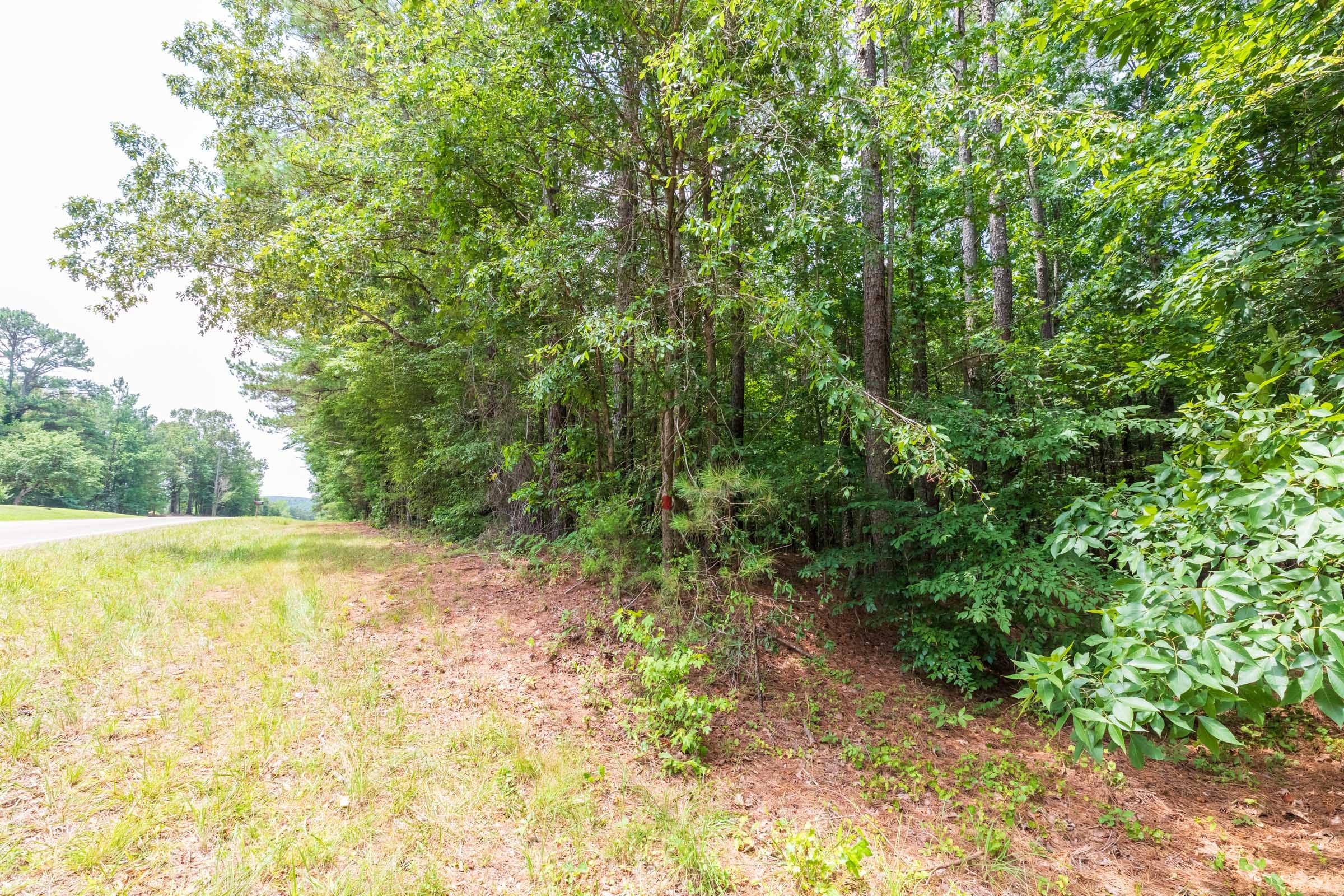 Whiskey Ridge Tract 1 photo 8