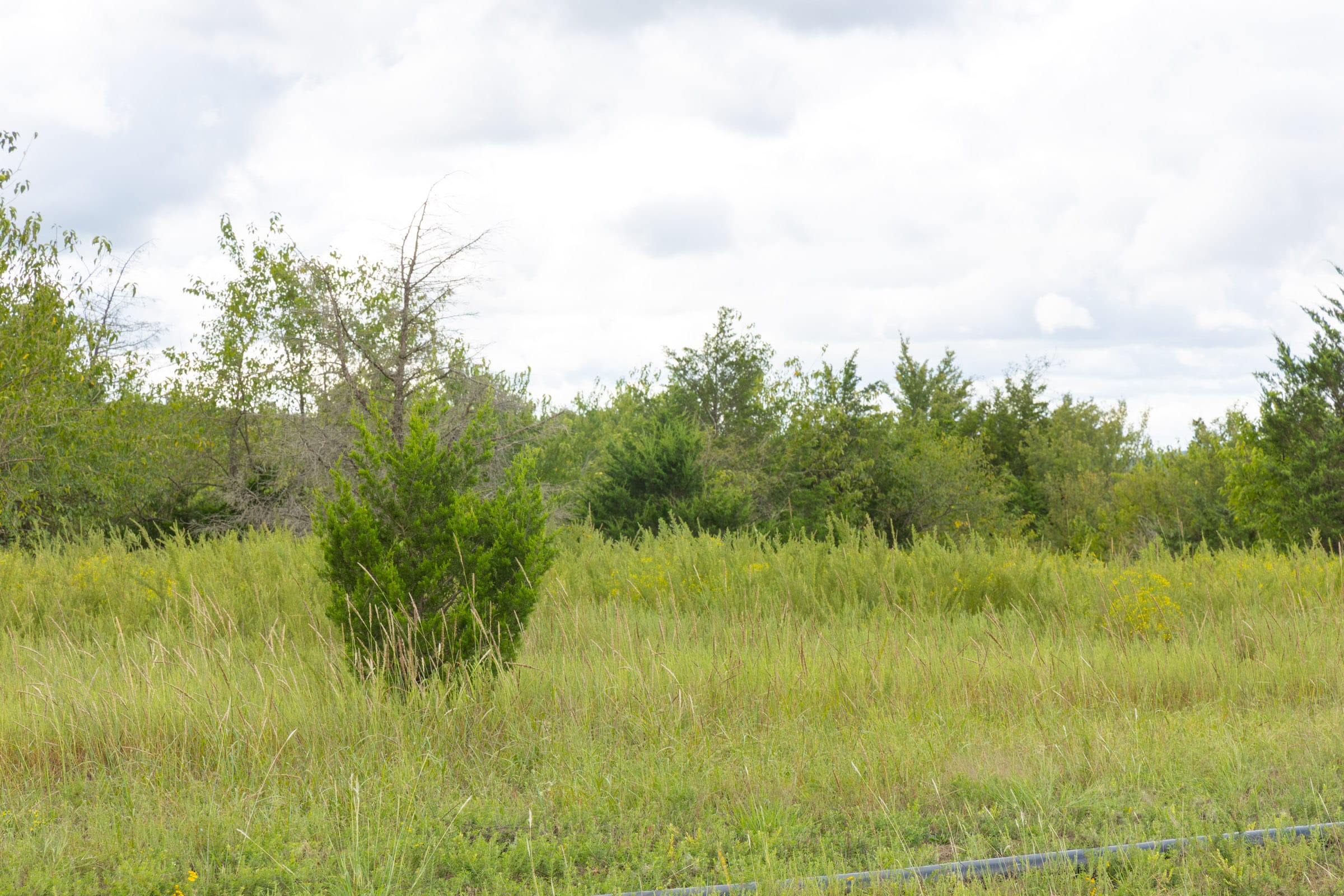Reserves At Cattail Cove Phase II Tract 50 photo 4