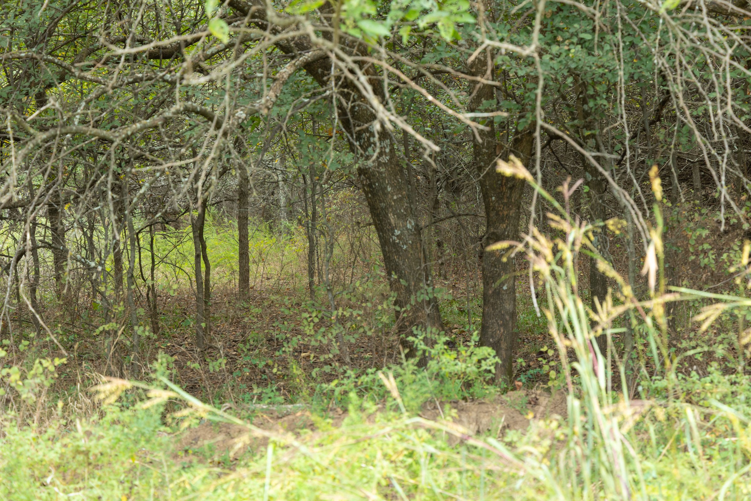 Reserves At Cattail Cove Phase II Tract 51 photo 3