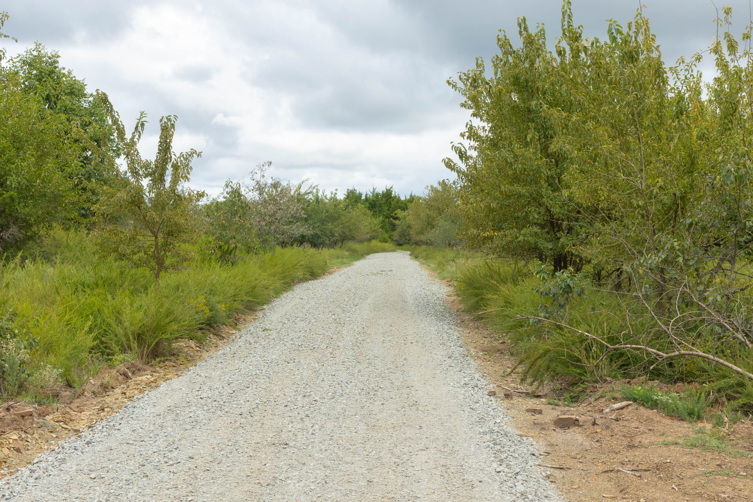 Reserves At Cattail Cove Phase II Tract 51 photo 4