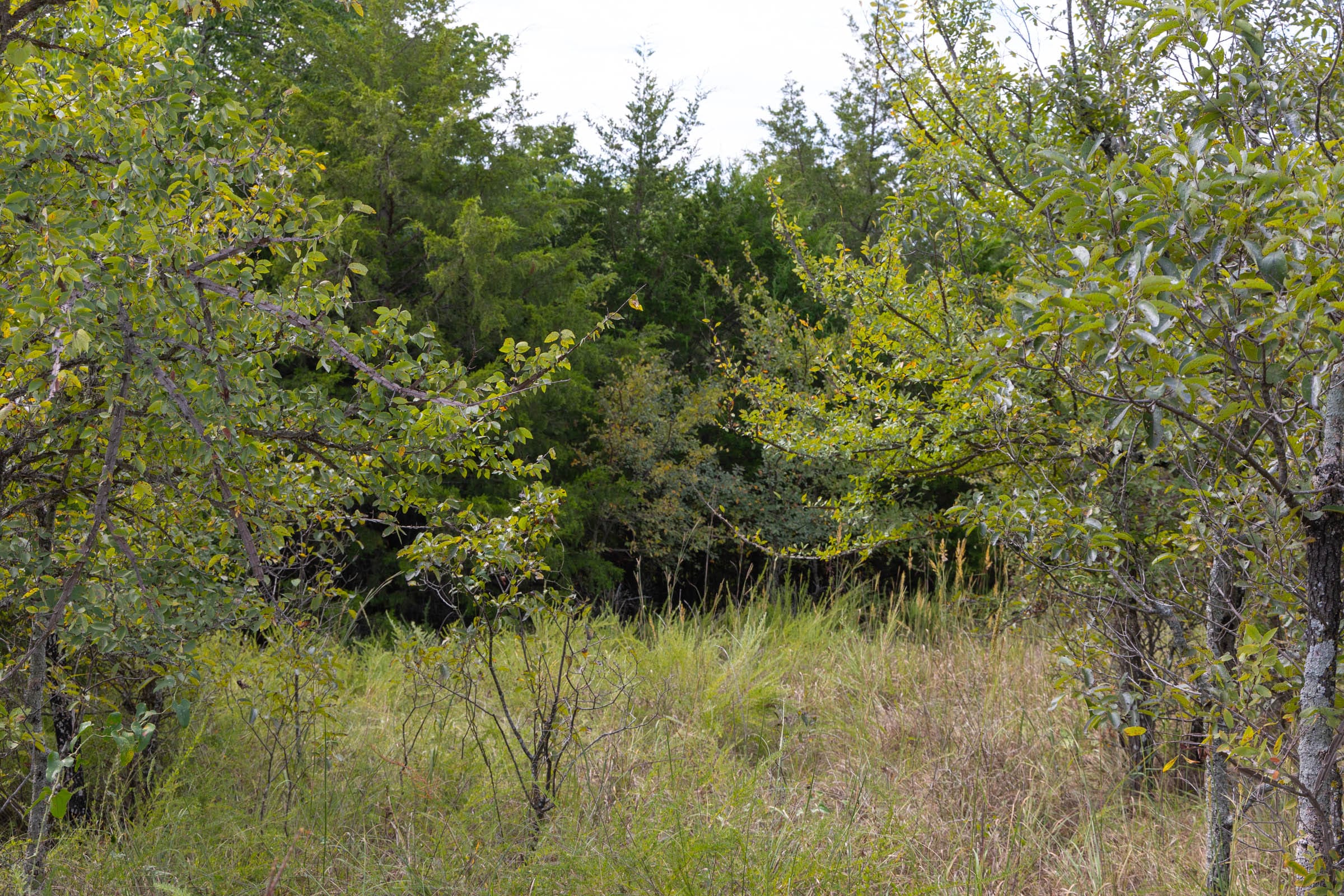 Reserves At Cattail Cove Phase II Tract 57 photo 5