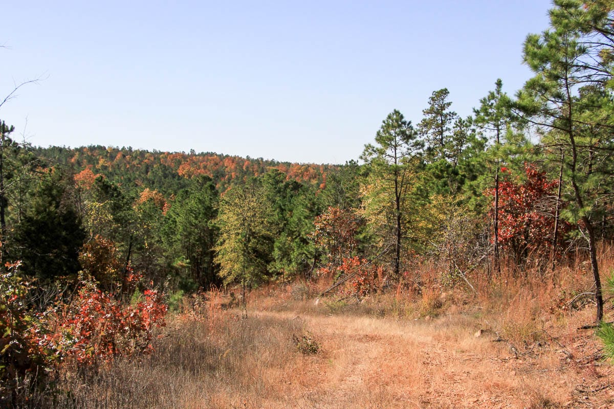 Stone Creek Phase III Tract 64 photo 2