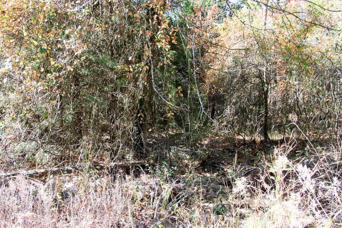Stone Creek Phase III Tract 64 photo 3