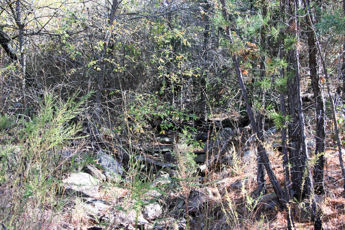 Stone Creek Phase III Tract 64 photo 4