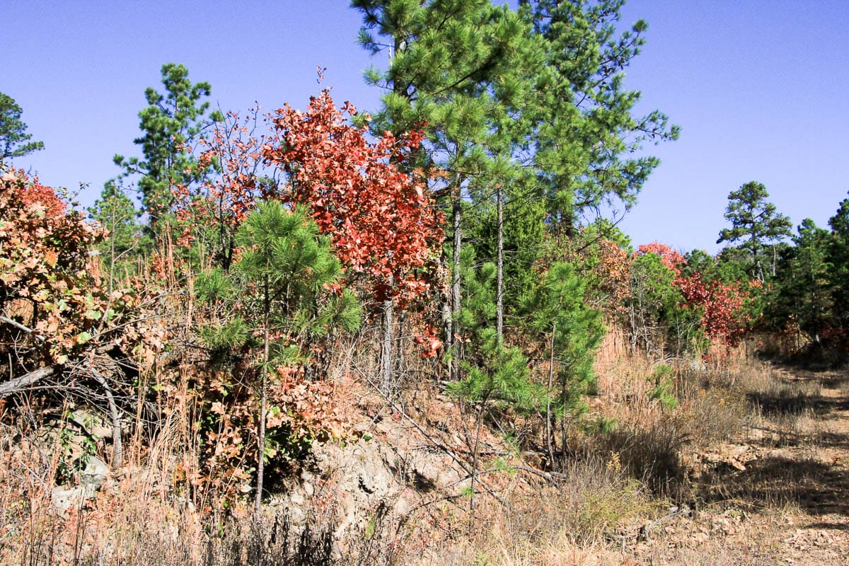 Stone Creek Phase III Tract 64 photo 5