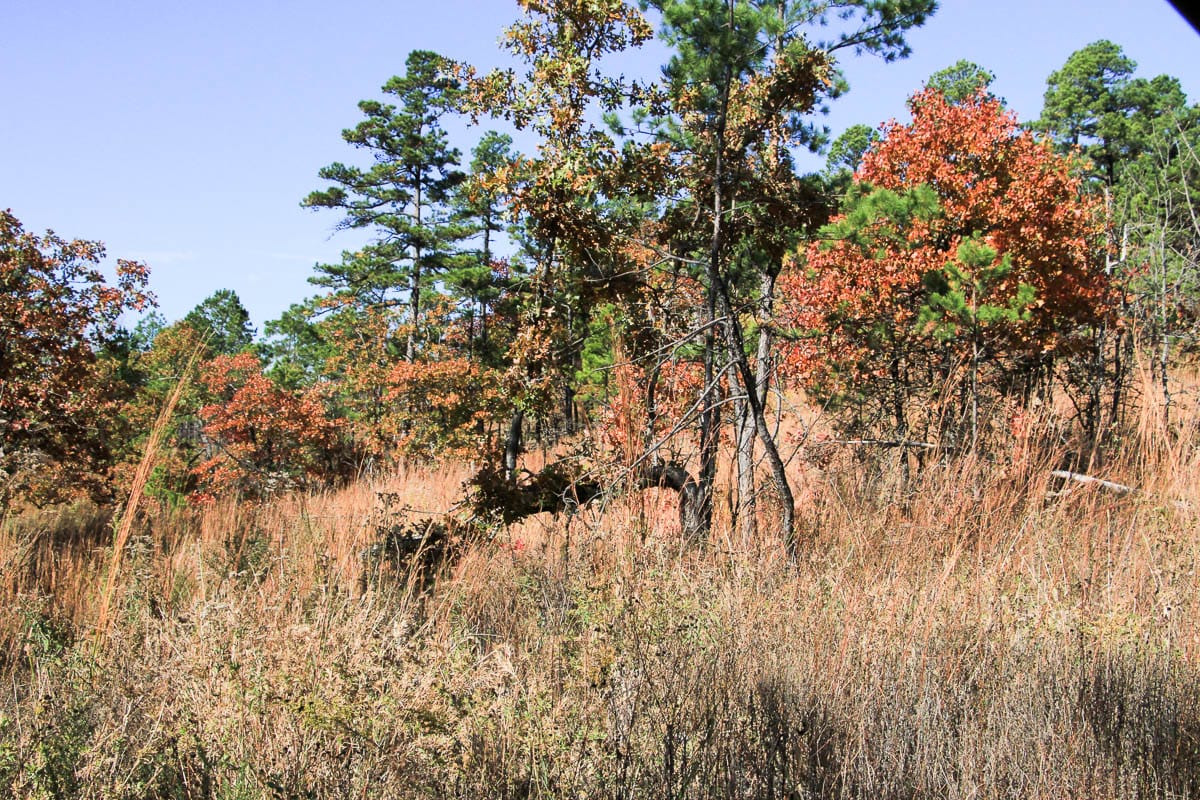 Stone Creek Phase III Tract 64 photo 7