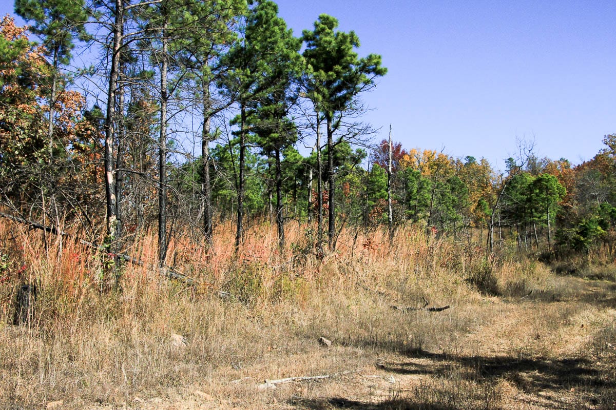 Stone Creek Phase III Tract 64 photo 8