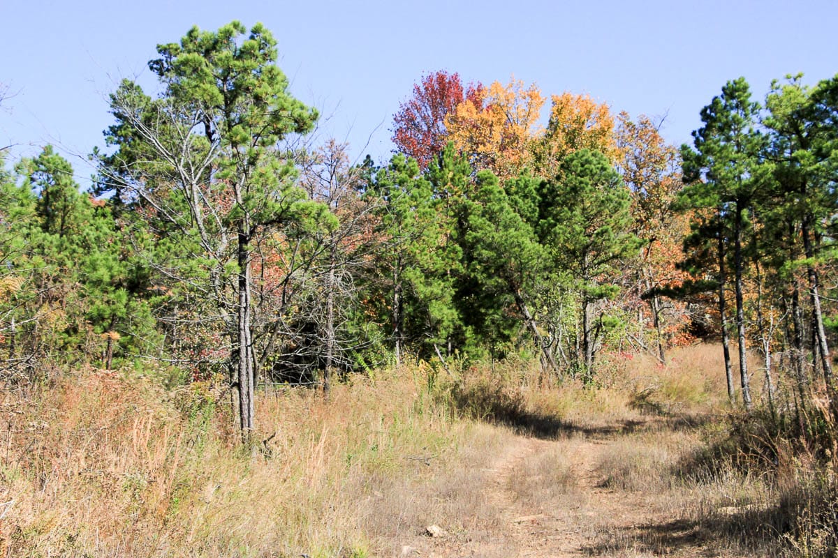 Stone Creek Phase III Tract 64 photo 9