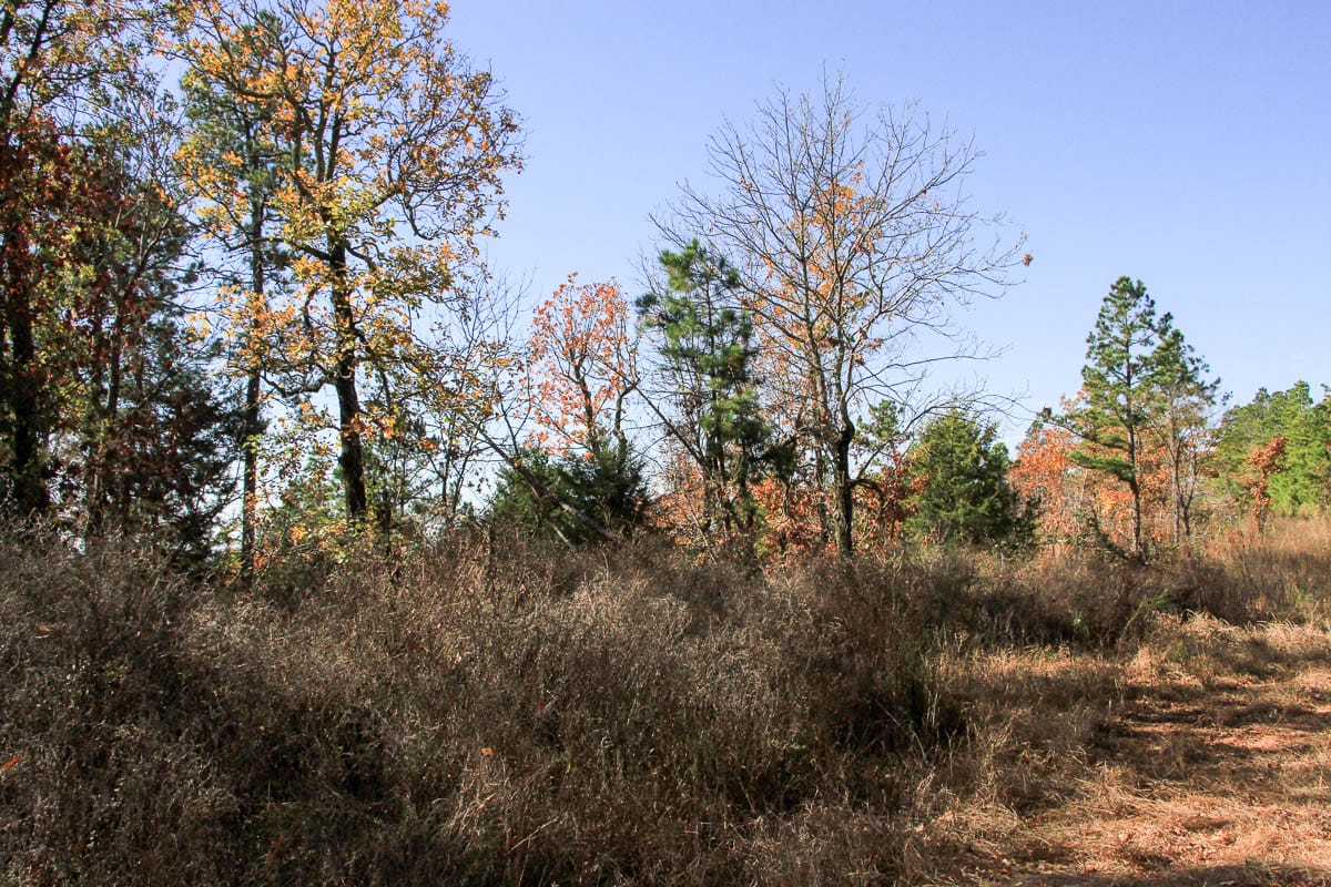 Stone Creek Phase III Tract 64 photo 10