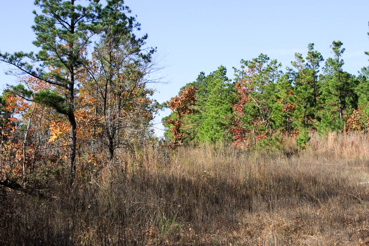 Stone Creek Phase III Tract 64 photo 11