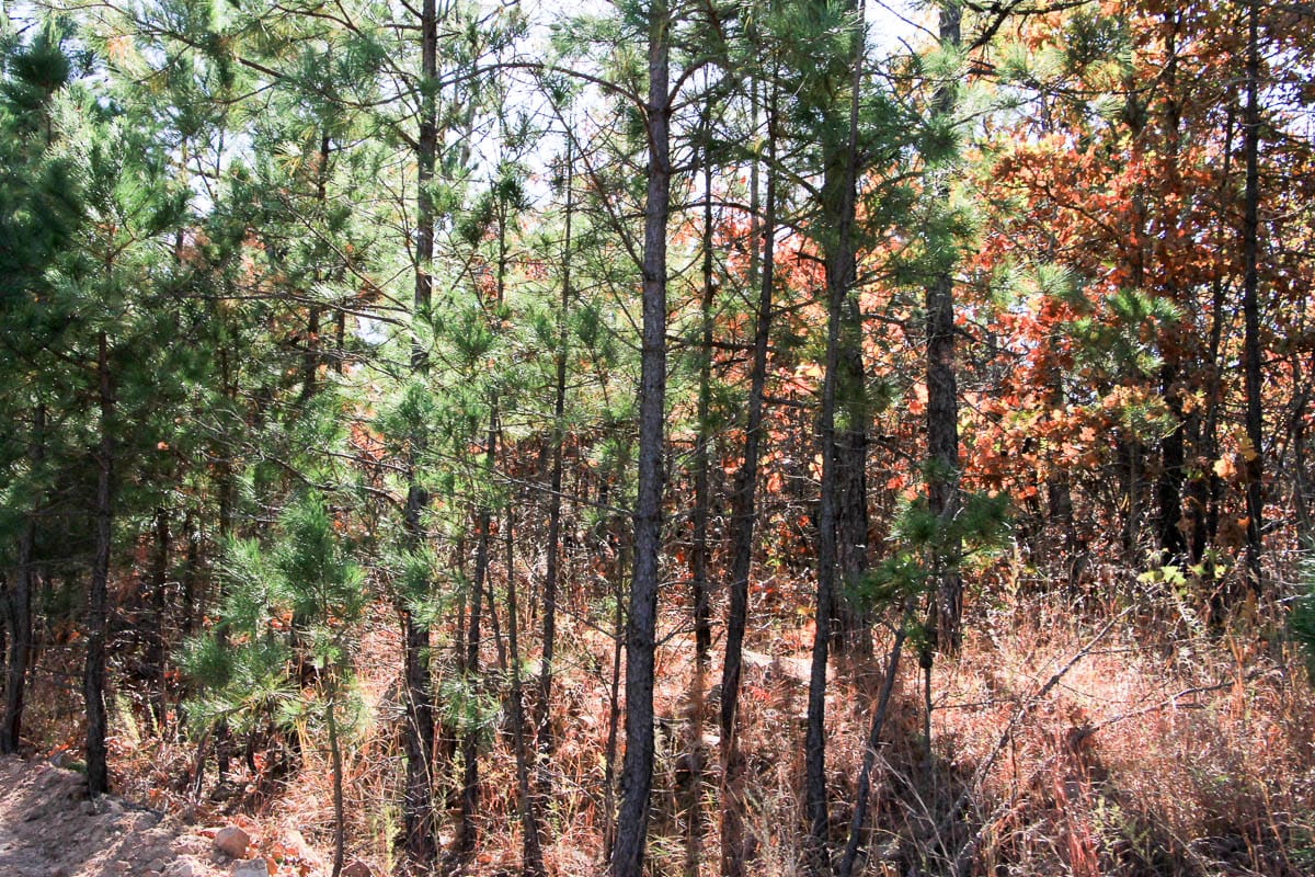 Stone Creek Phase III Tract 64 photo 13