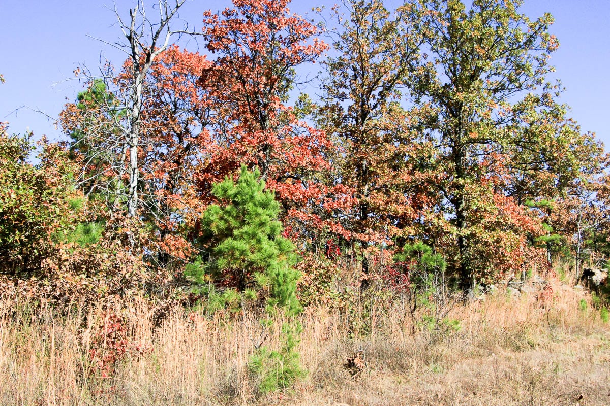 Stone Creek Phase III Tract 64 photo 17