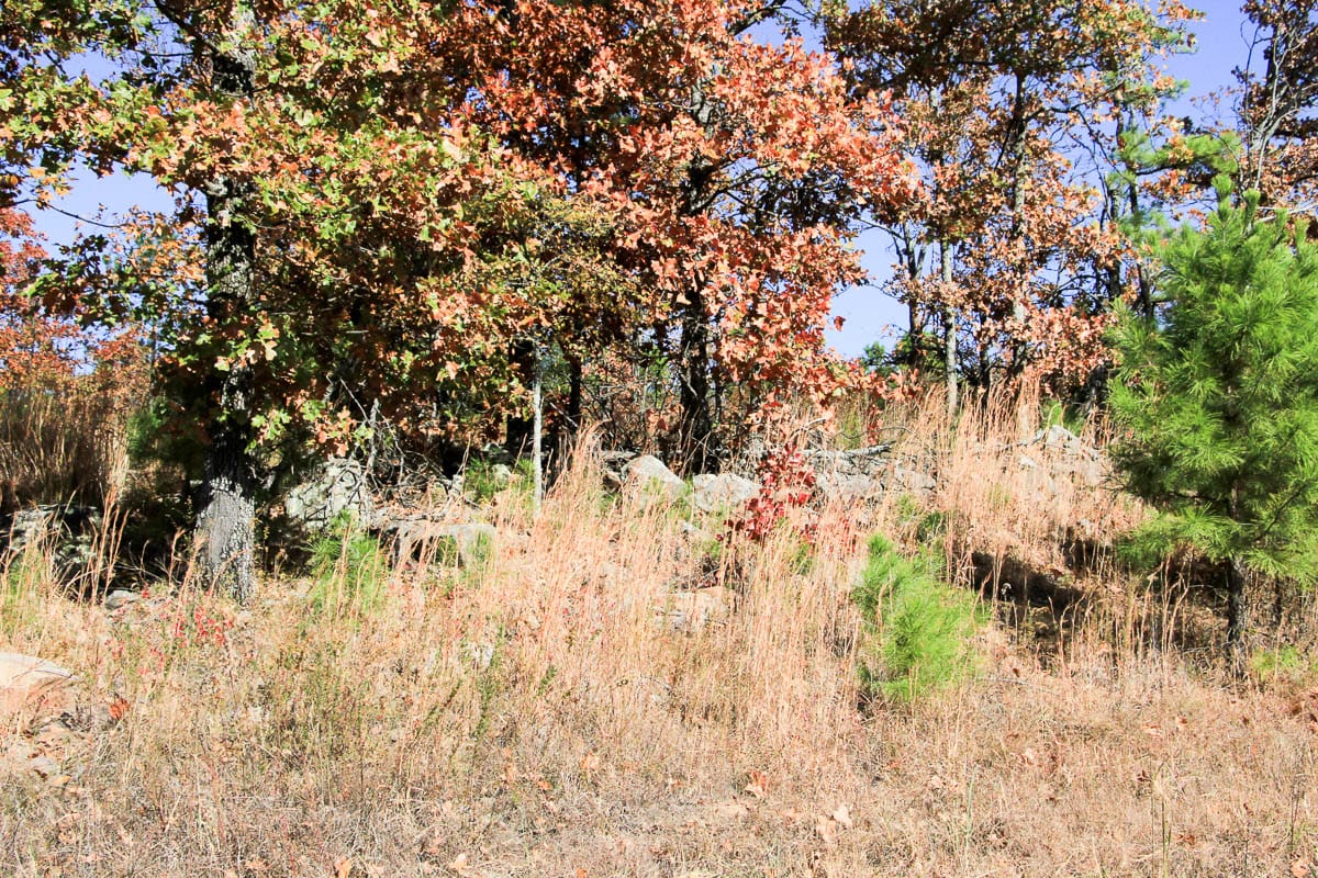 Stone Creek Phase III Tract 64 photo 18