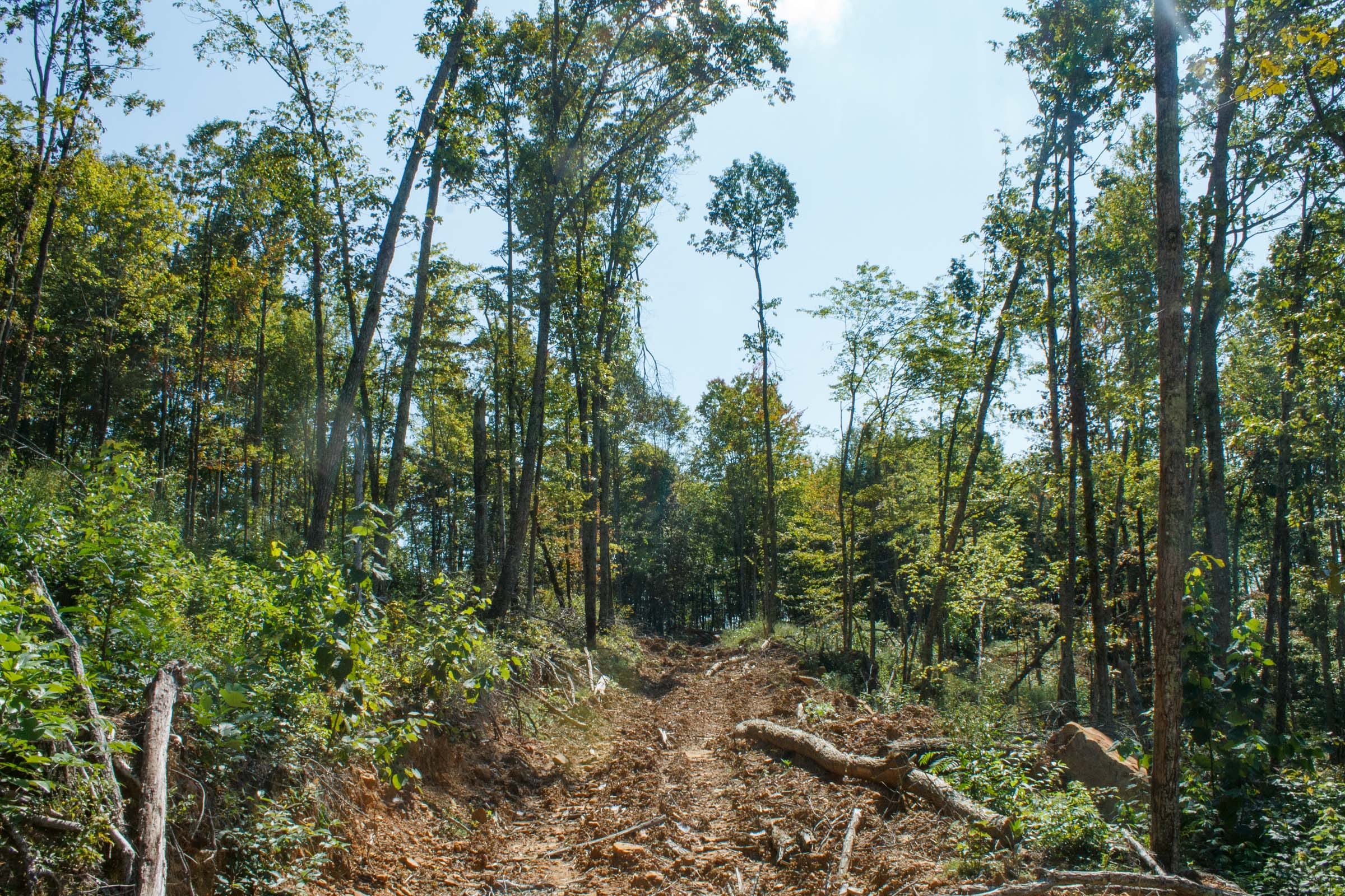 Wounded Oak Tract 21 photo 1
