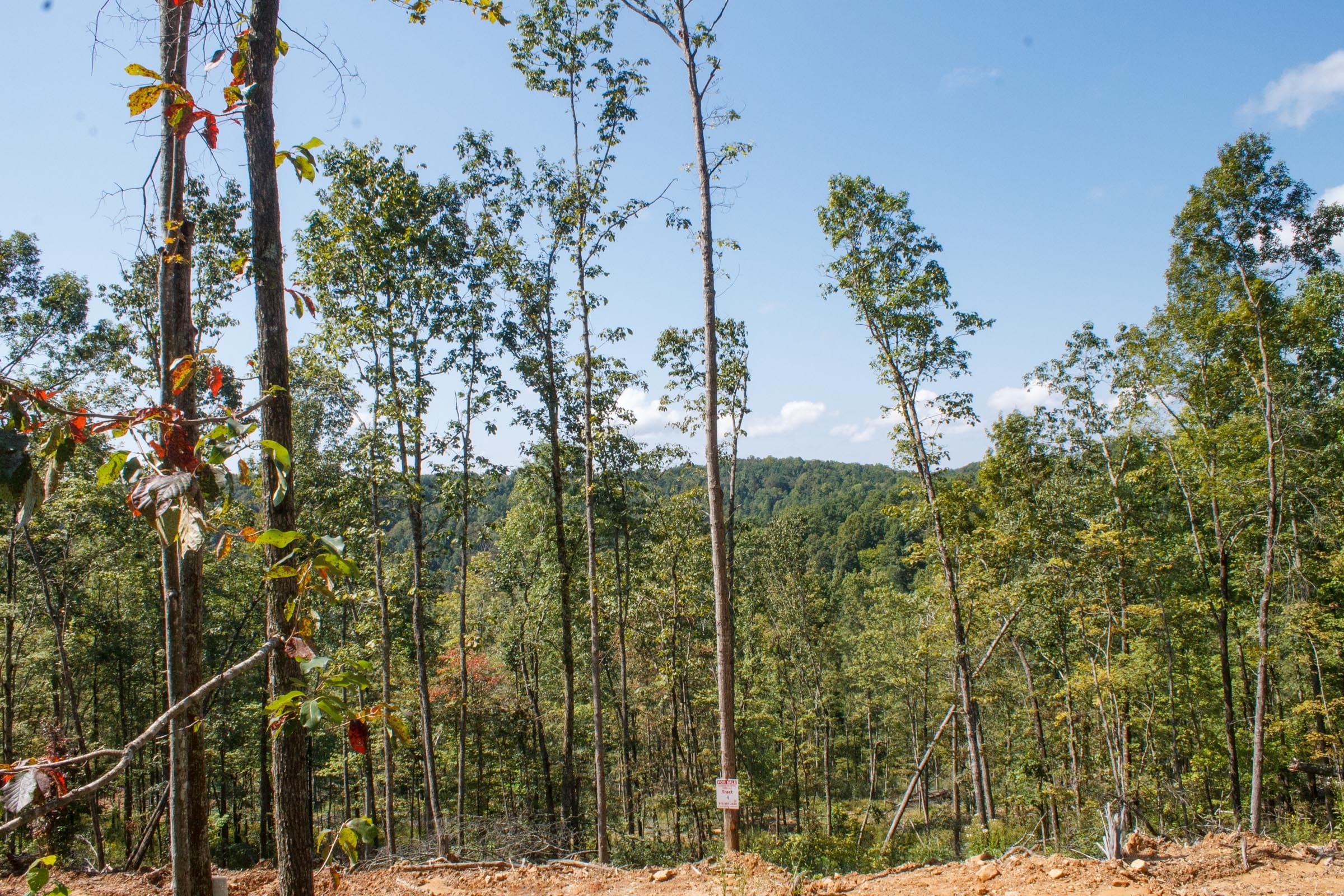 Wounded Oak Tract 21 photo 7