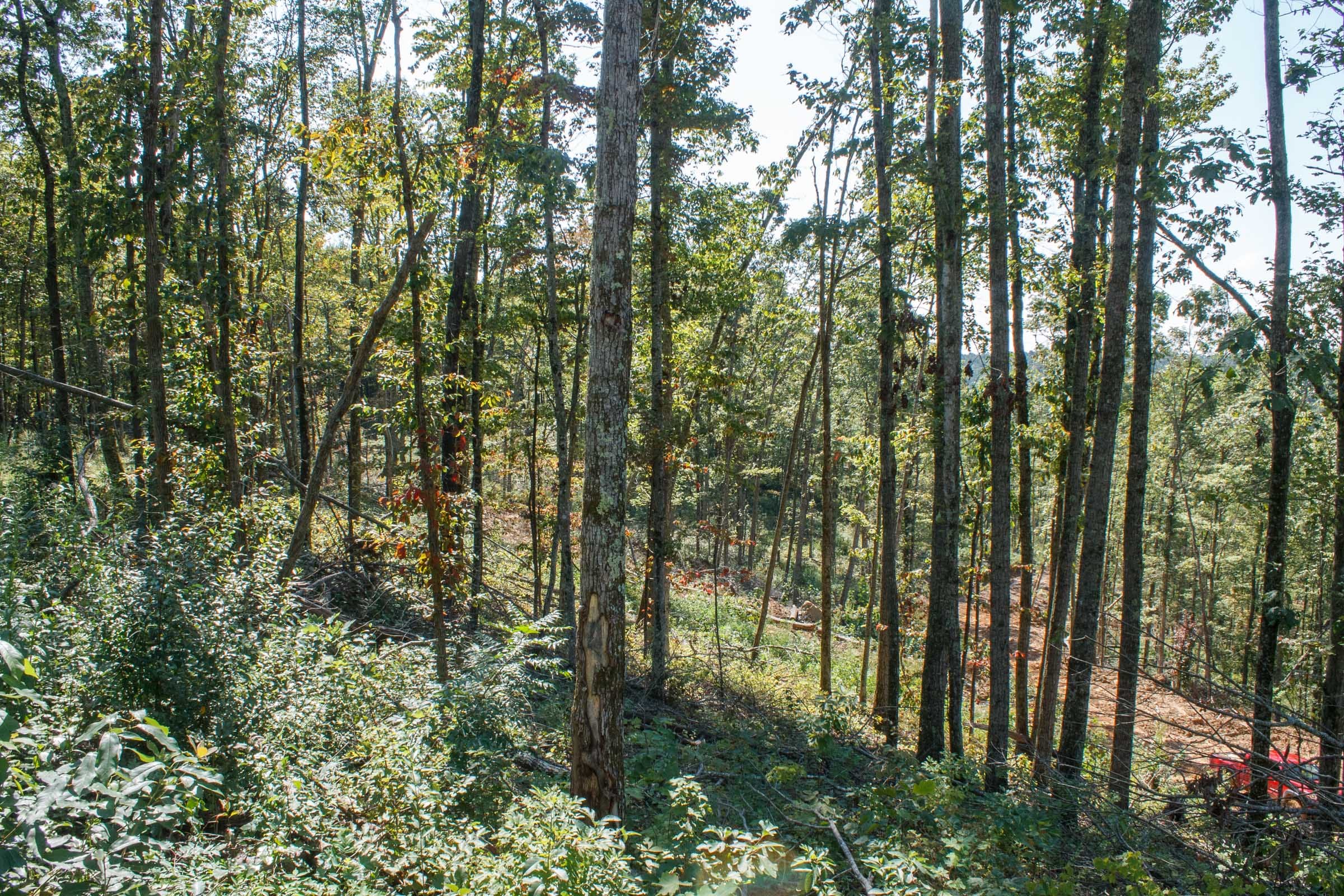 Wounded Oak Tract 21 photo 11