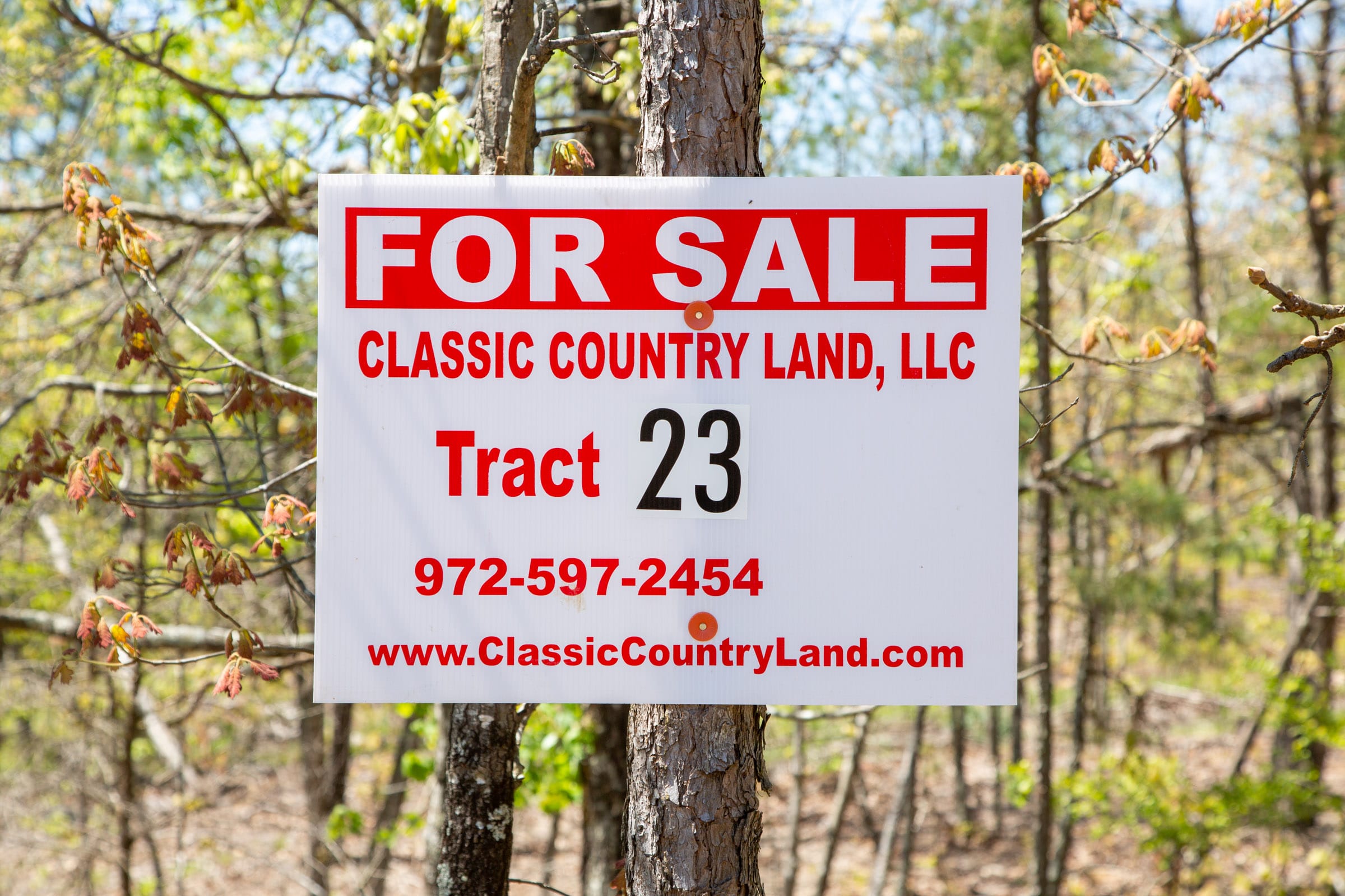Eagle’s Nest Tract 23 photo 1