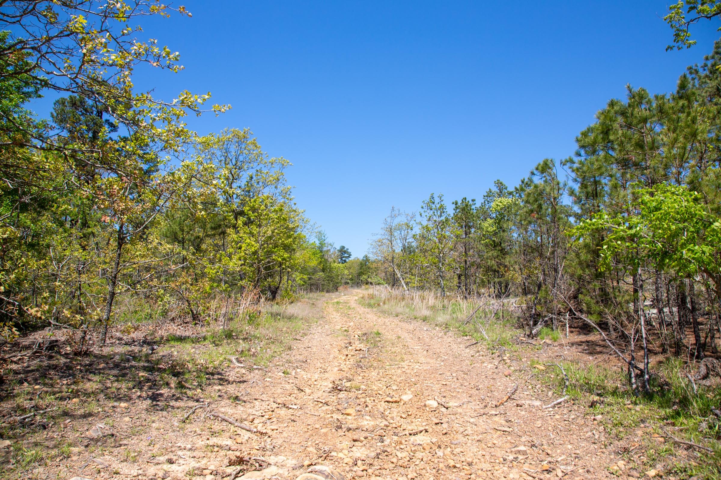 Eagle’s Nest Tract 23 photo 2