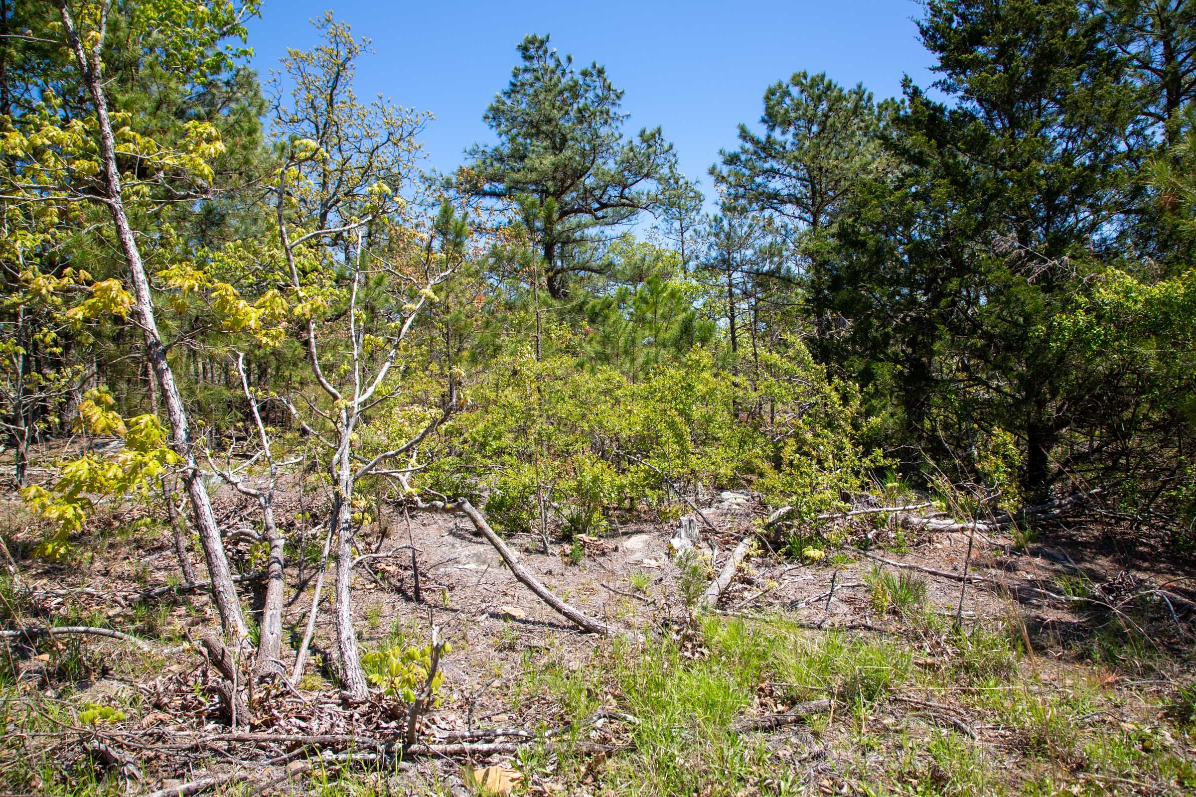 Eagle’s Nest Tract 23 photo 3