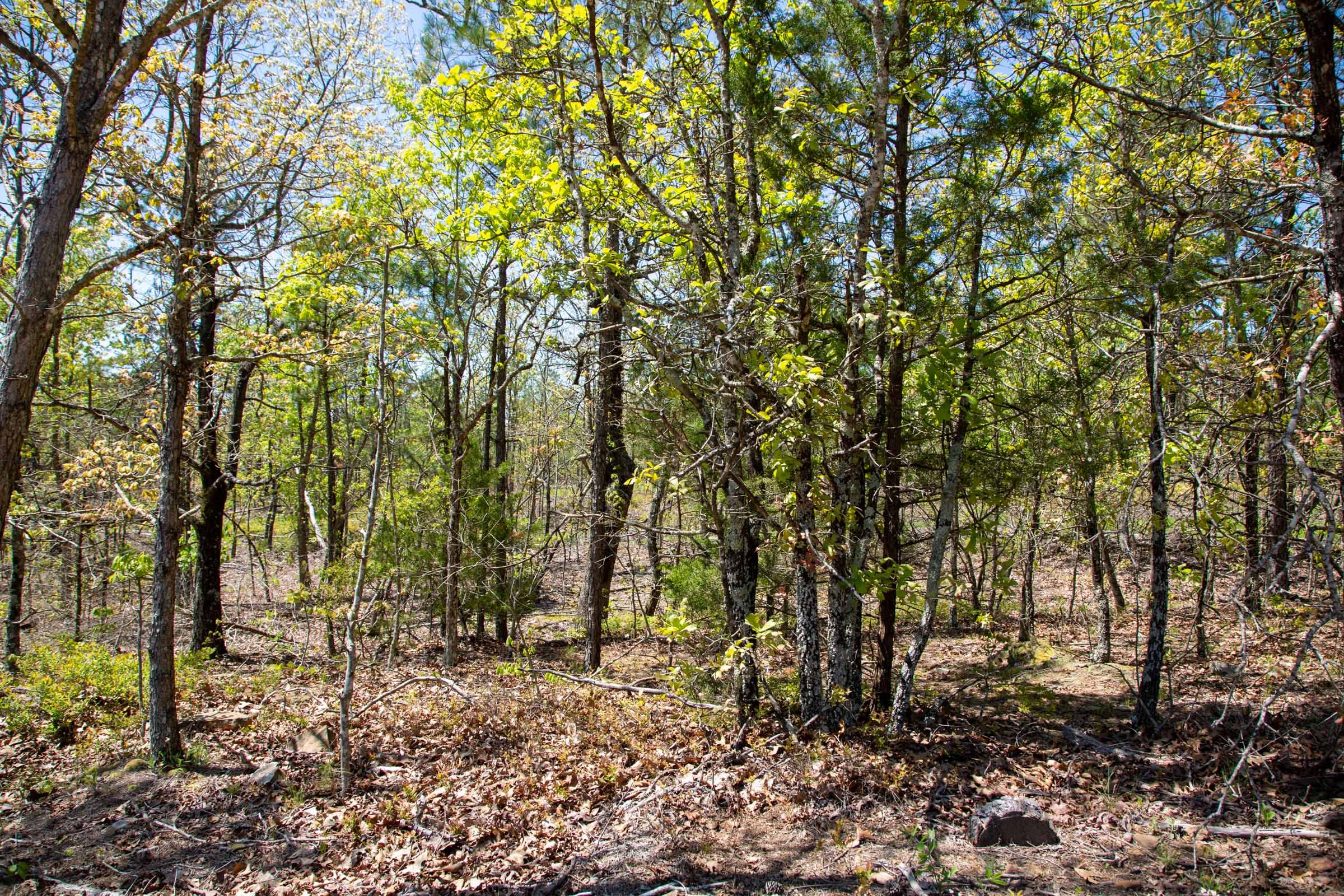 Eagle’s Nest Tract 23 photo 4