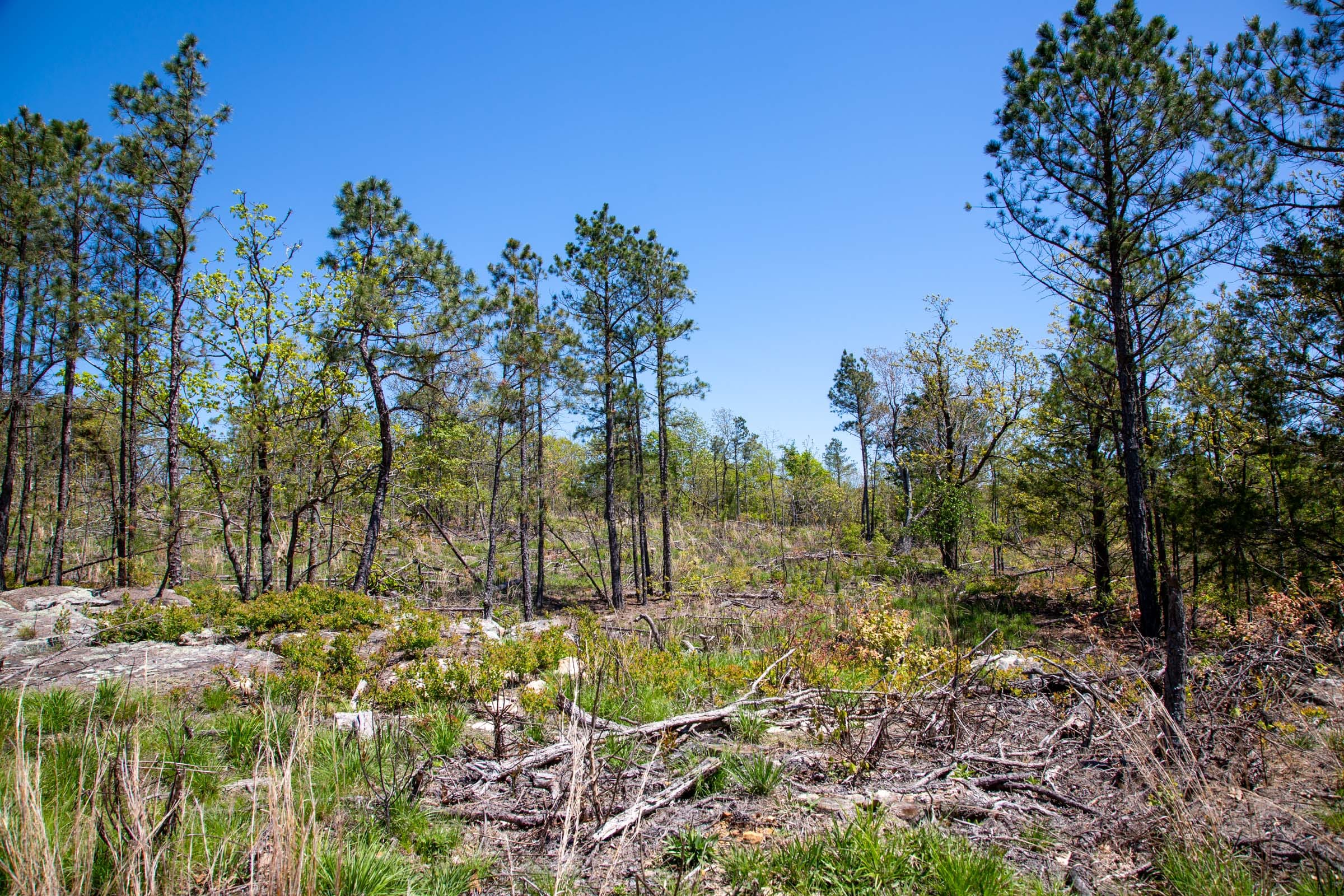 Eagle’s Nest Tract 23 photo 5
