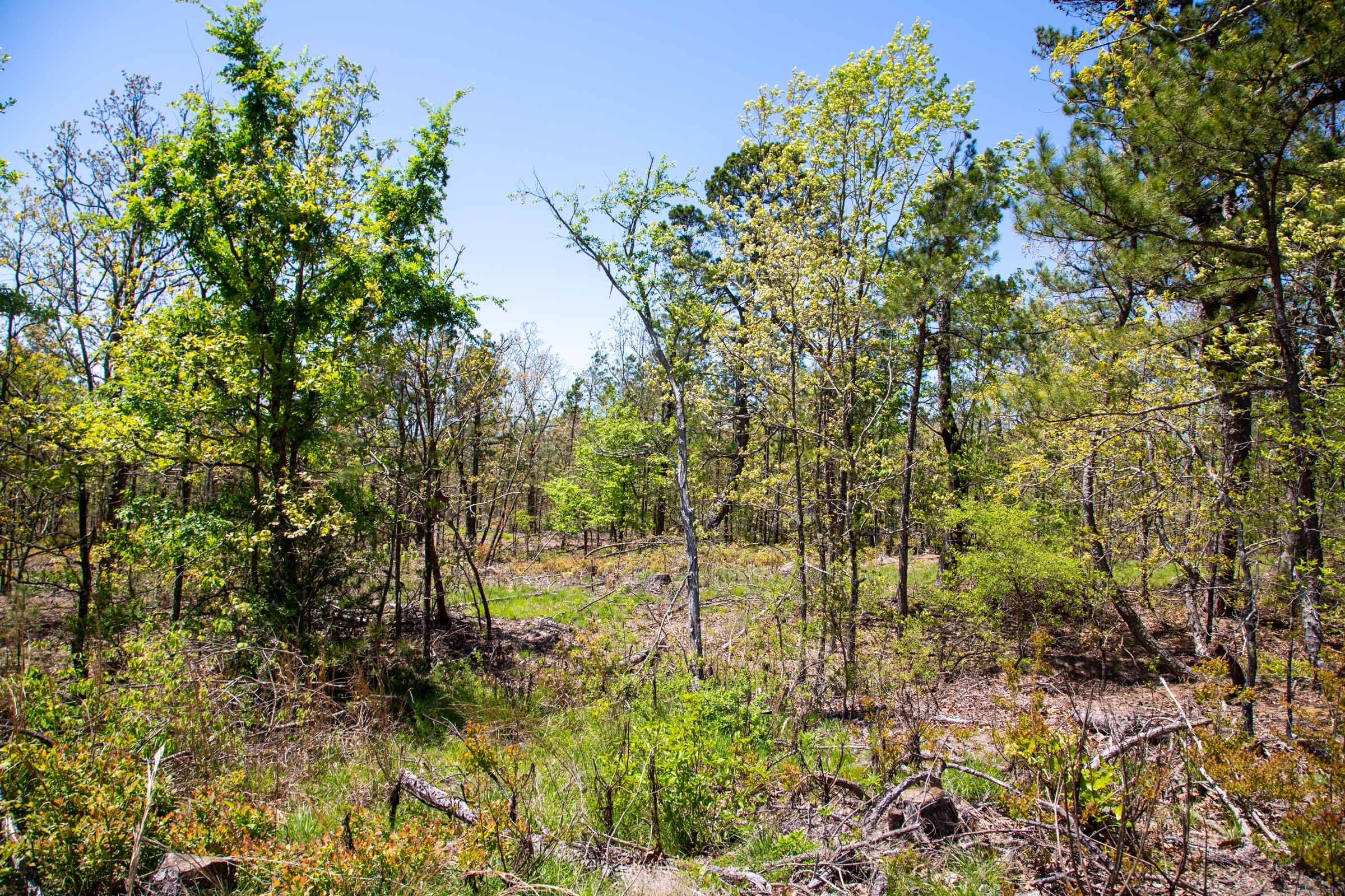 Eagle’s Nest Tract 23 photo 7