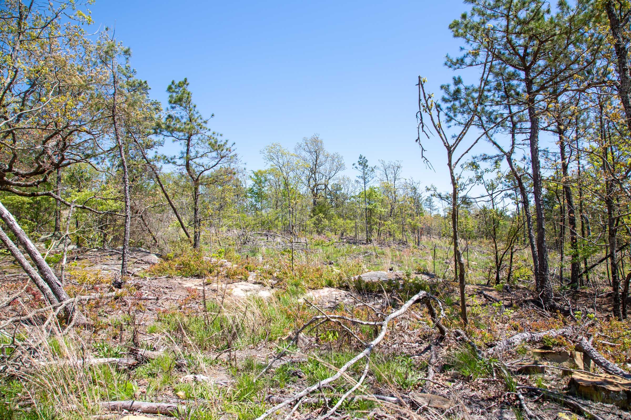 Eagle’s Nest Tract 23 photo 9