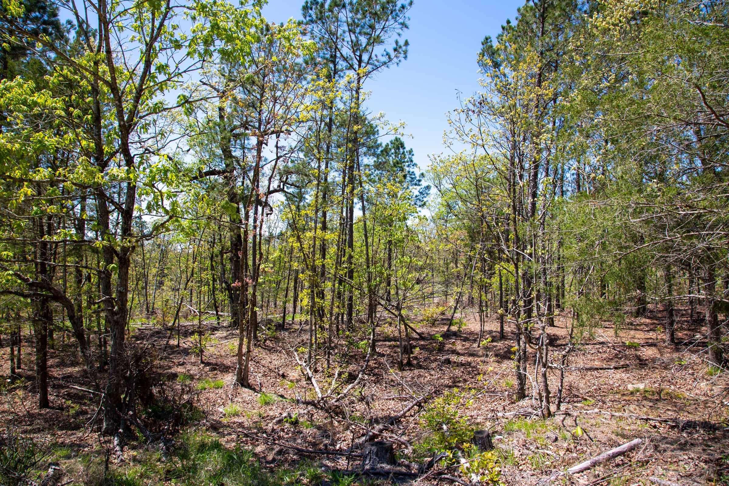 Eagle’s Nest Tract 23 photo 12