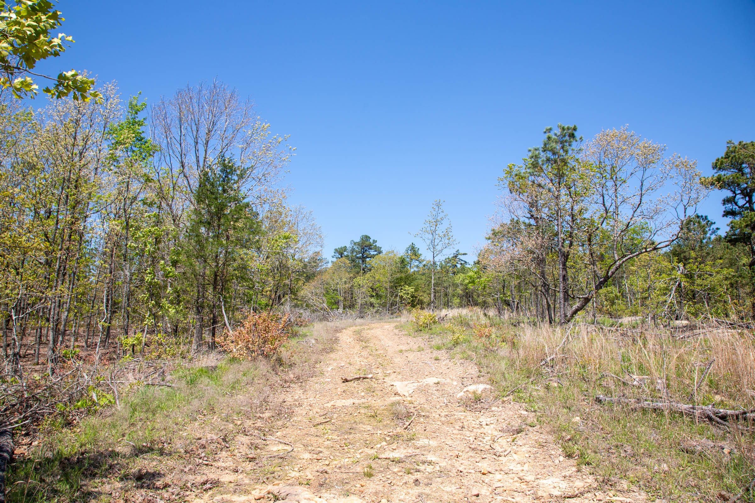 Eagle’s Nest Tract 23 photo 6