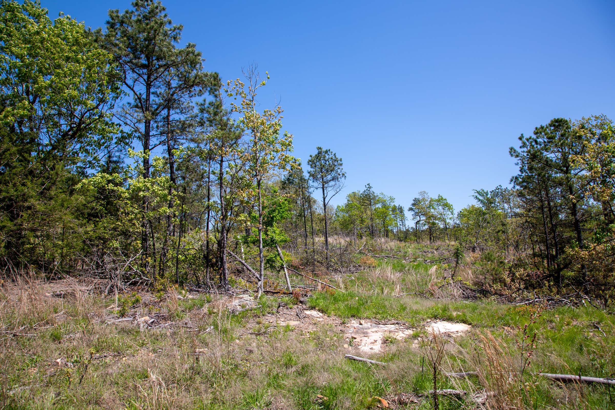 Eagle’s Nest Tract 23 photo 13