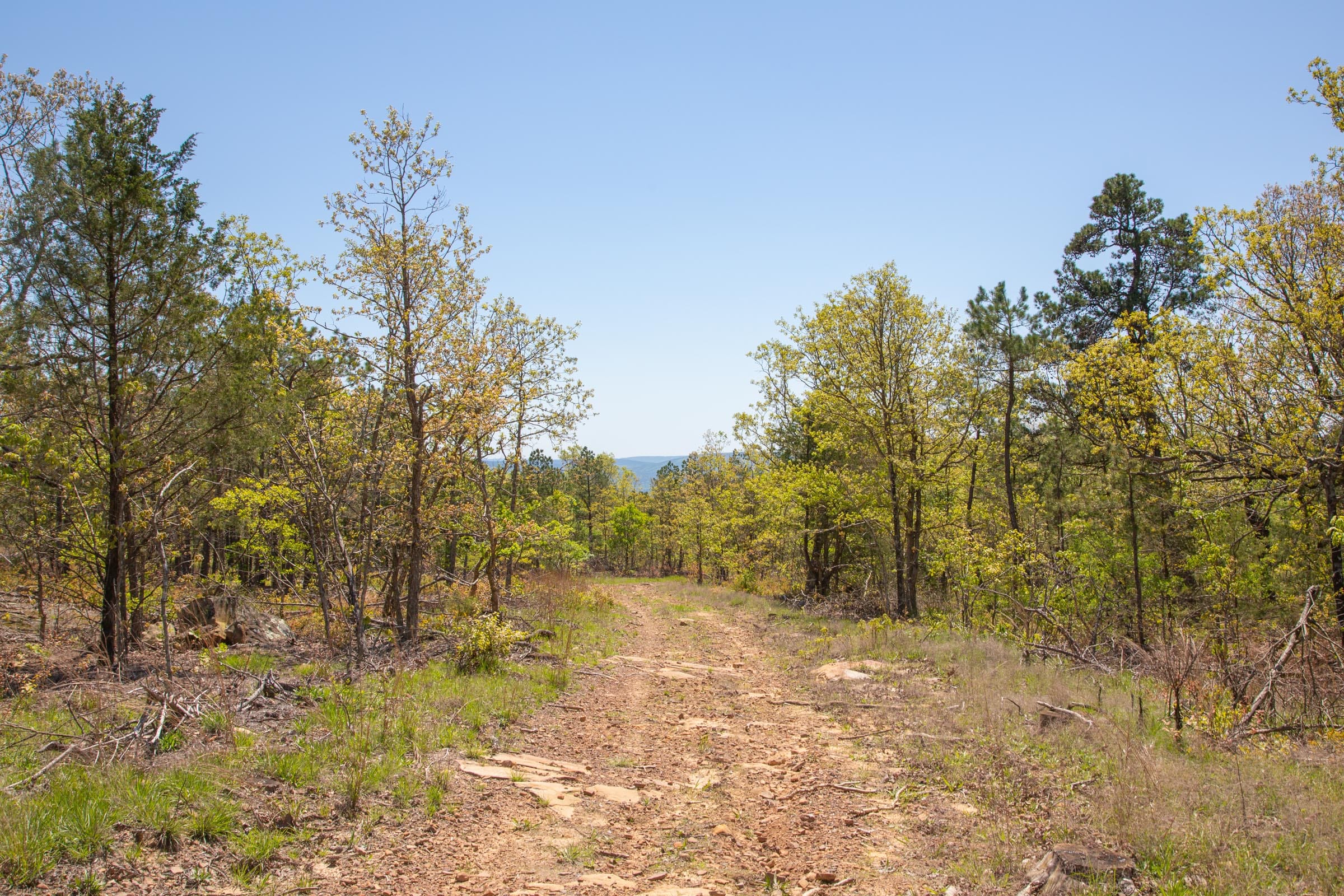Eagle’s Nest Tract 23 photo 11
