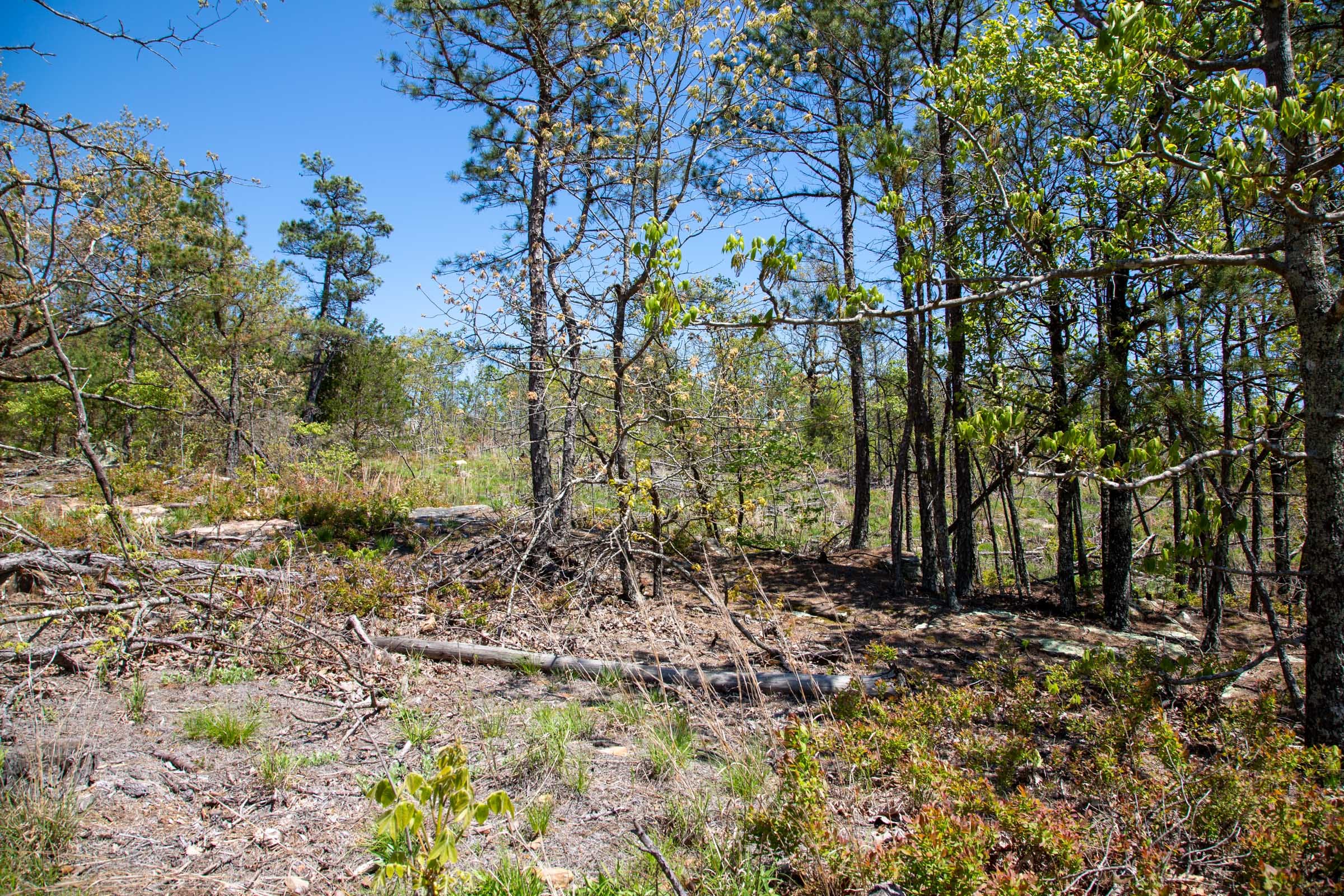 Eagle’s Nest Tract 23 photo 14
